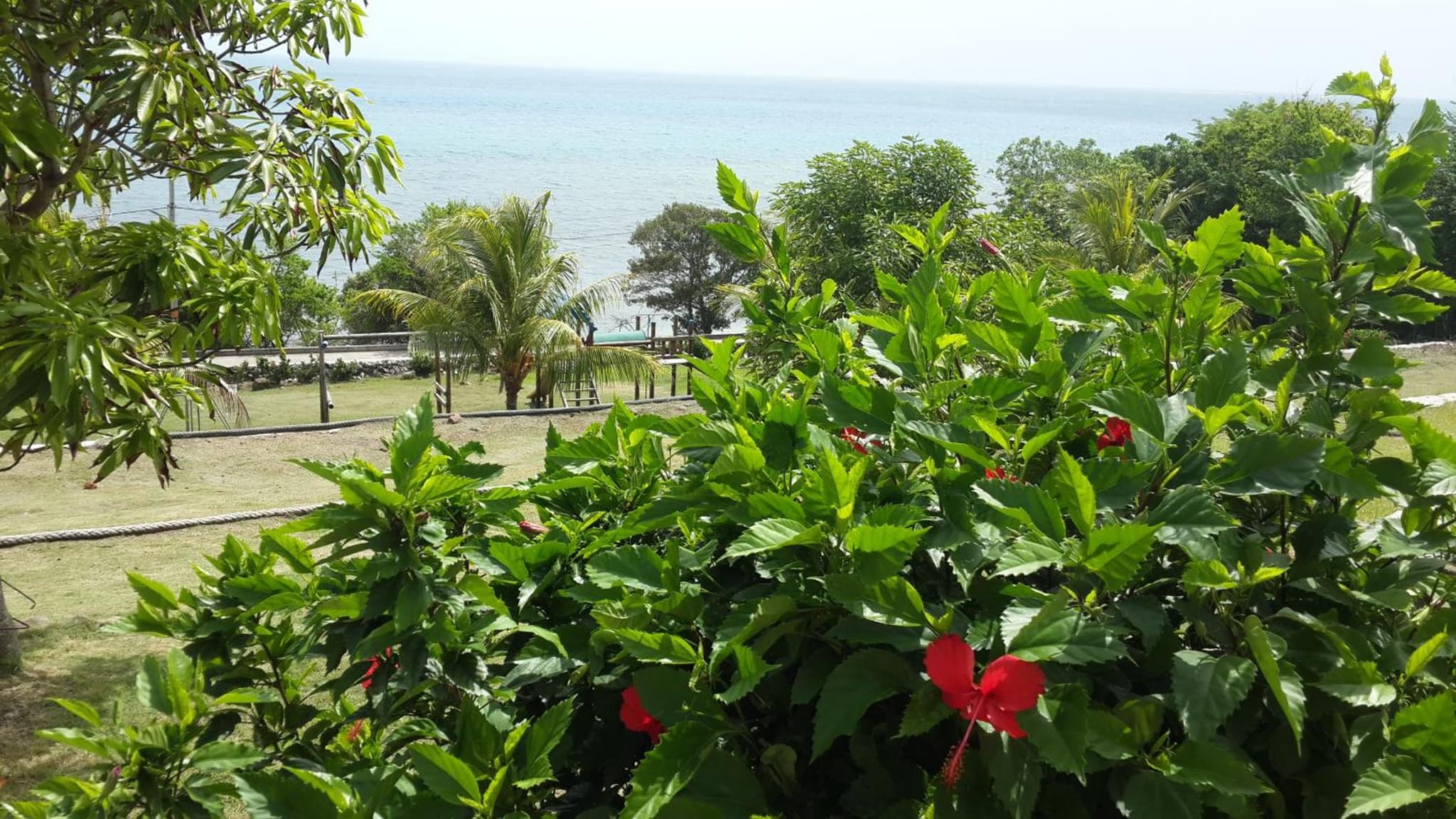 Maracaibo View photo 3