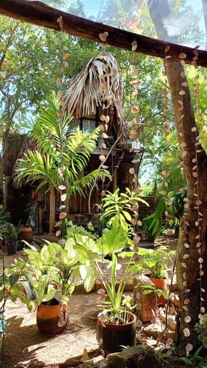 MONSOON Eco Resort photo 8