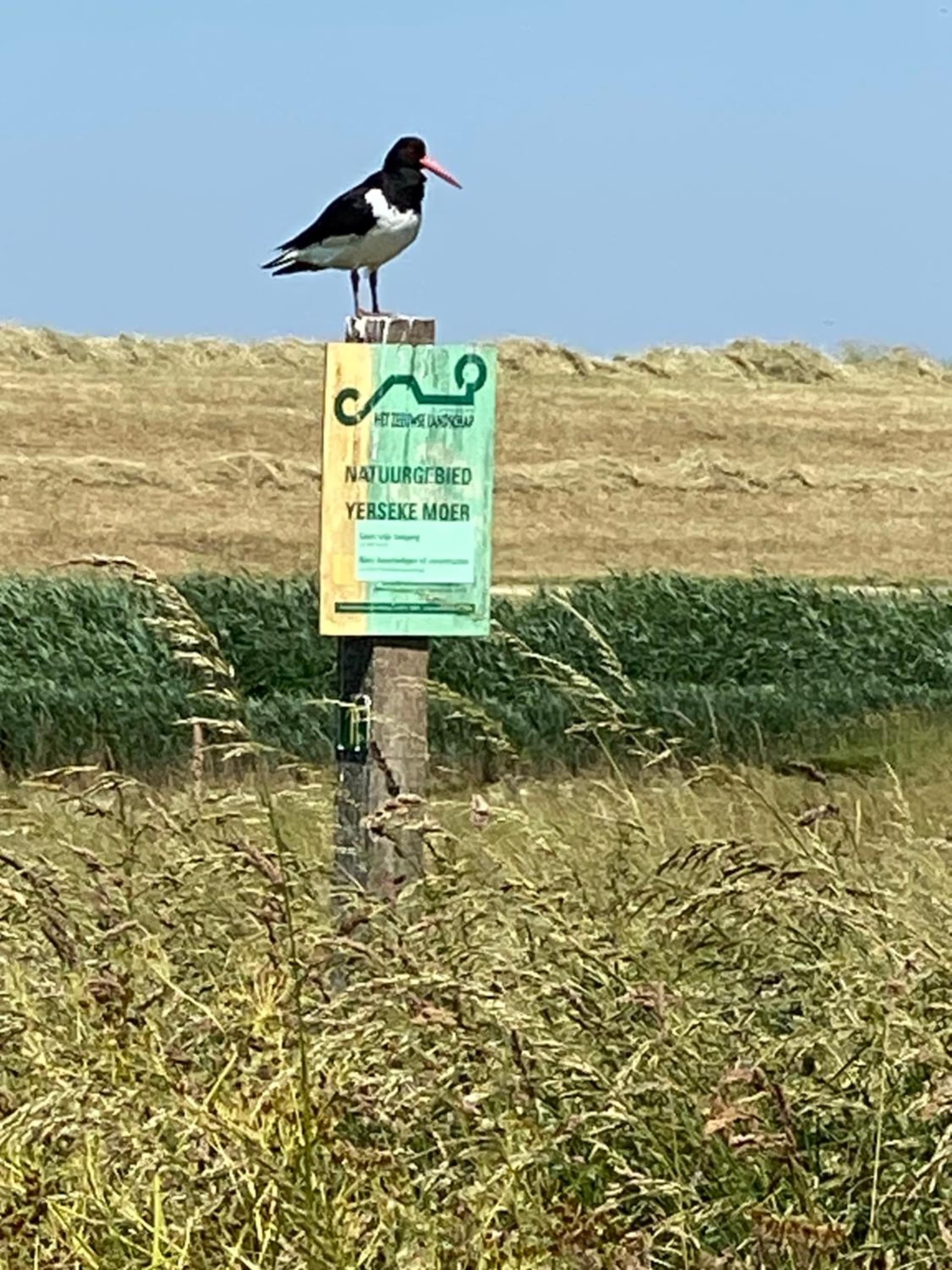 PUUR aan de Zeeuwse kust photo 8