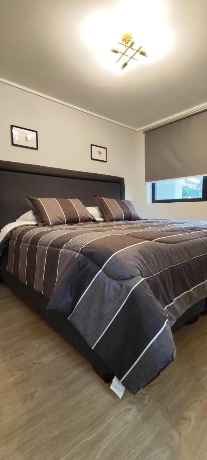 Apartamento Greta Valdivia photo 8