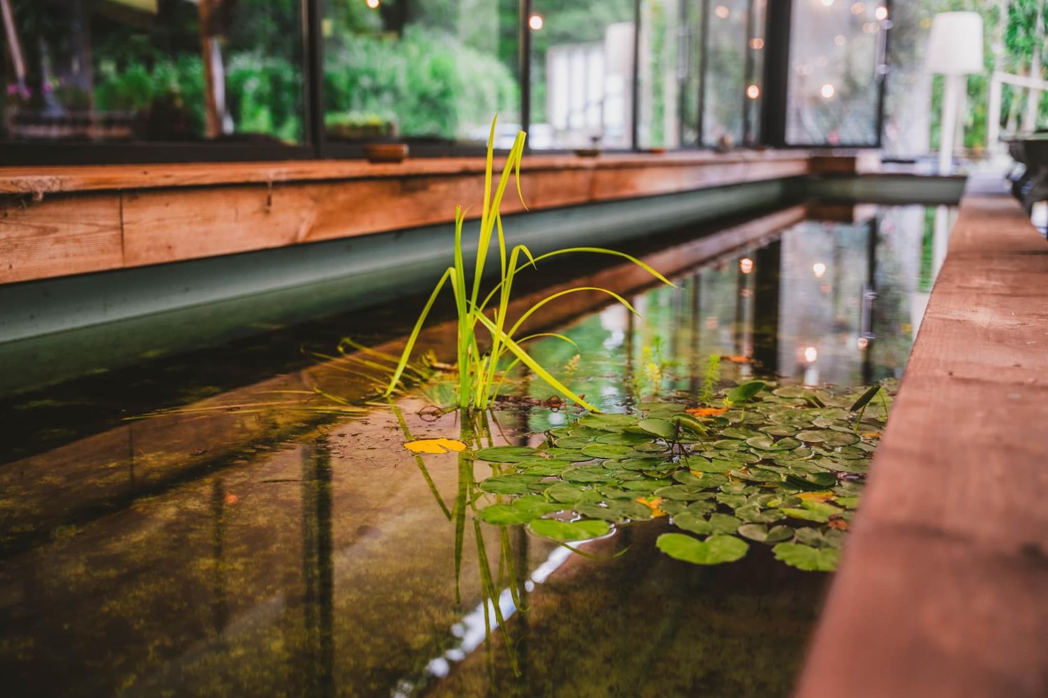 Utopia Village - Art & Nature Lodges photo 9