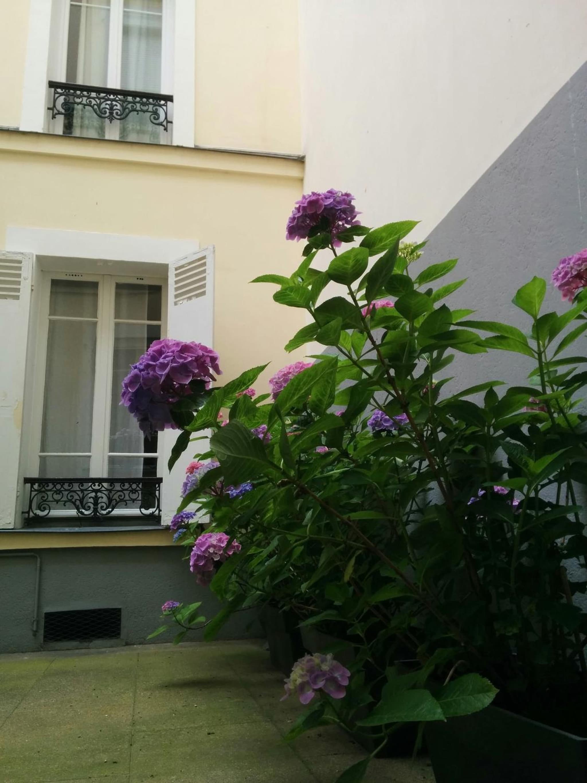 La Cour du 5ème - Chambre d'hôtes photo 2