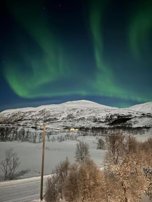Aurora Borealis photo 5