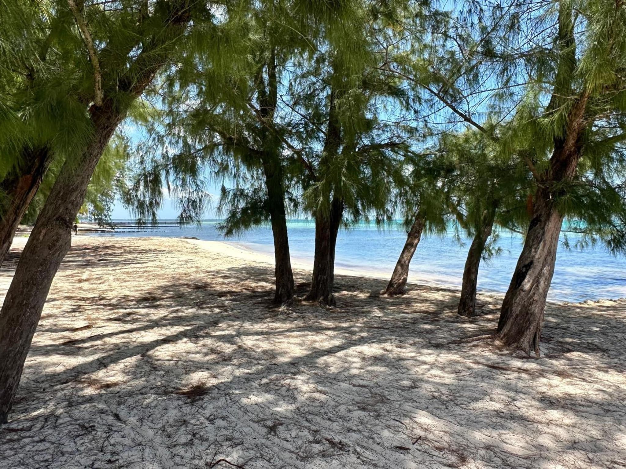 Island House #12 at Rum Point photo 7