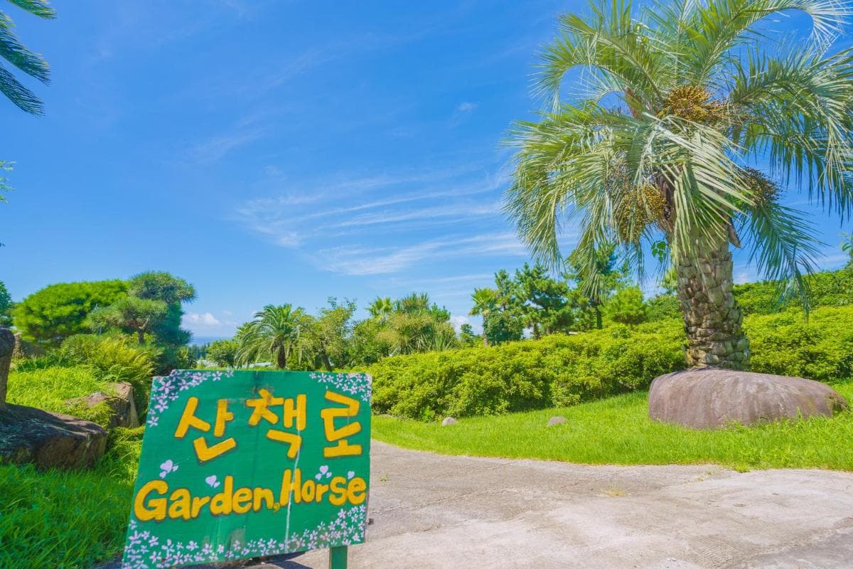 Jungmun Log Pension & Resort photo 7