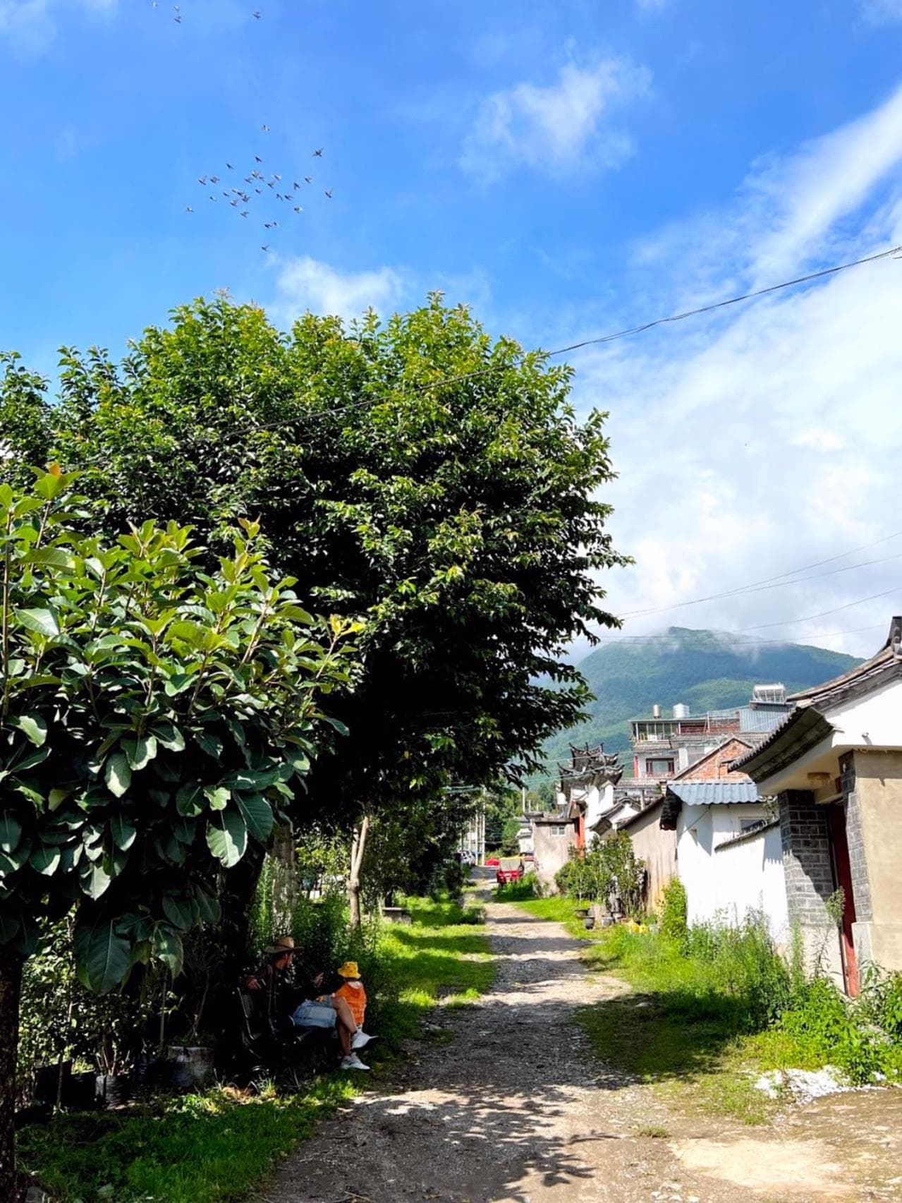 Dali Ancient Town Monster B&B photo 9