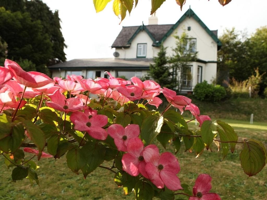 Robin Hill House Heritage B&B photo 8
