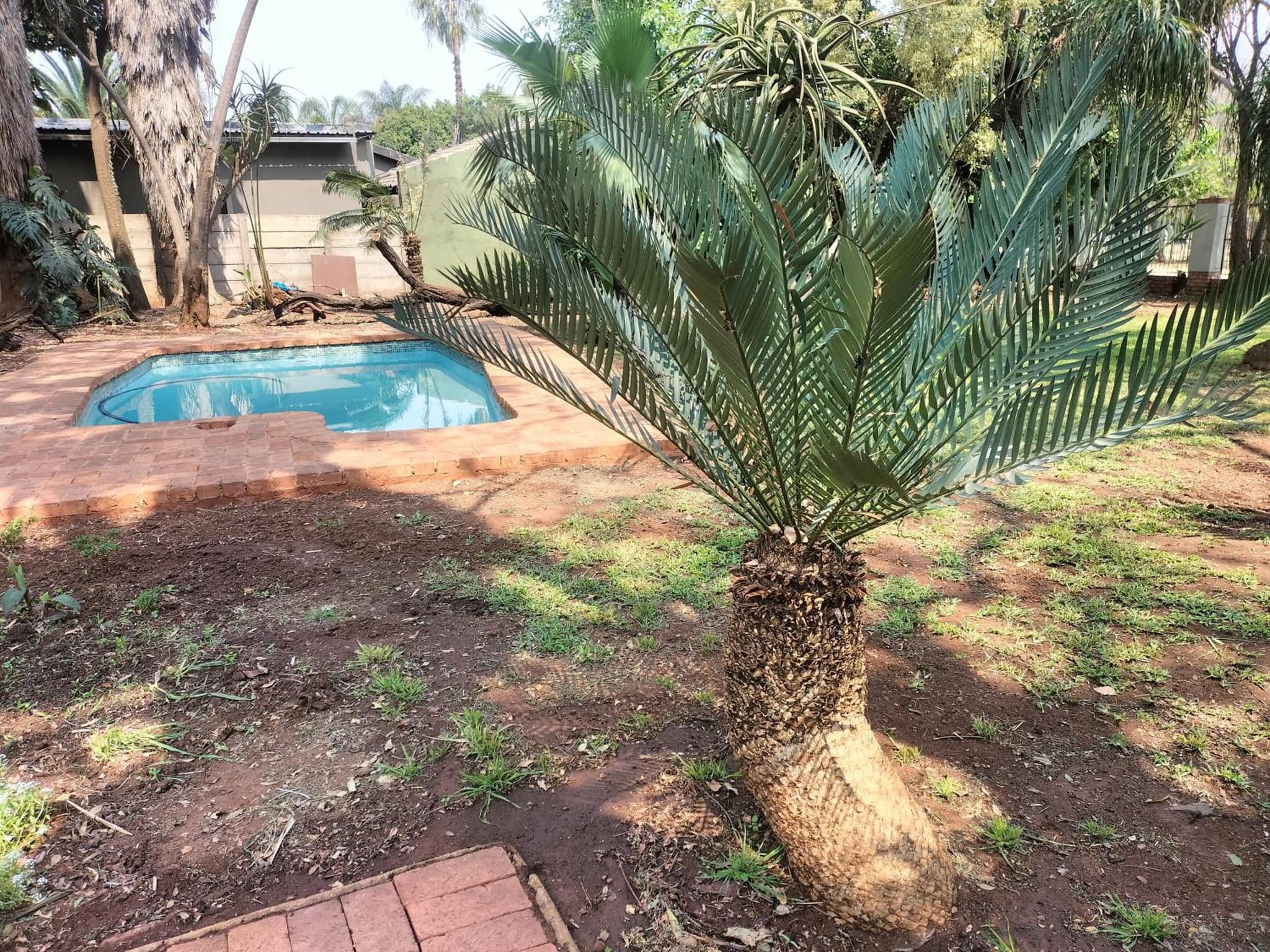 Waterfront Guest House photo 5