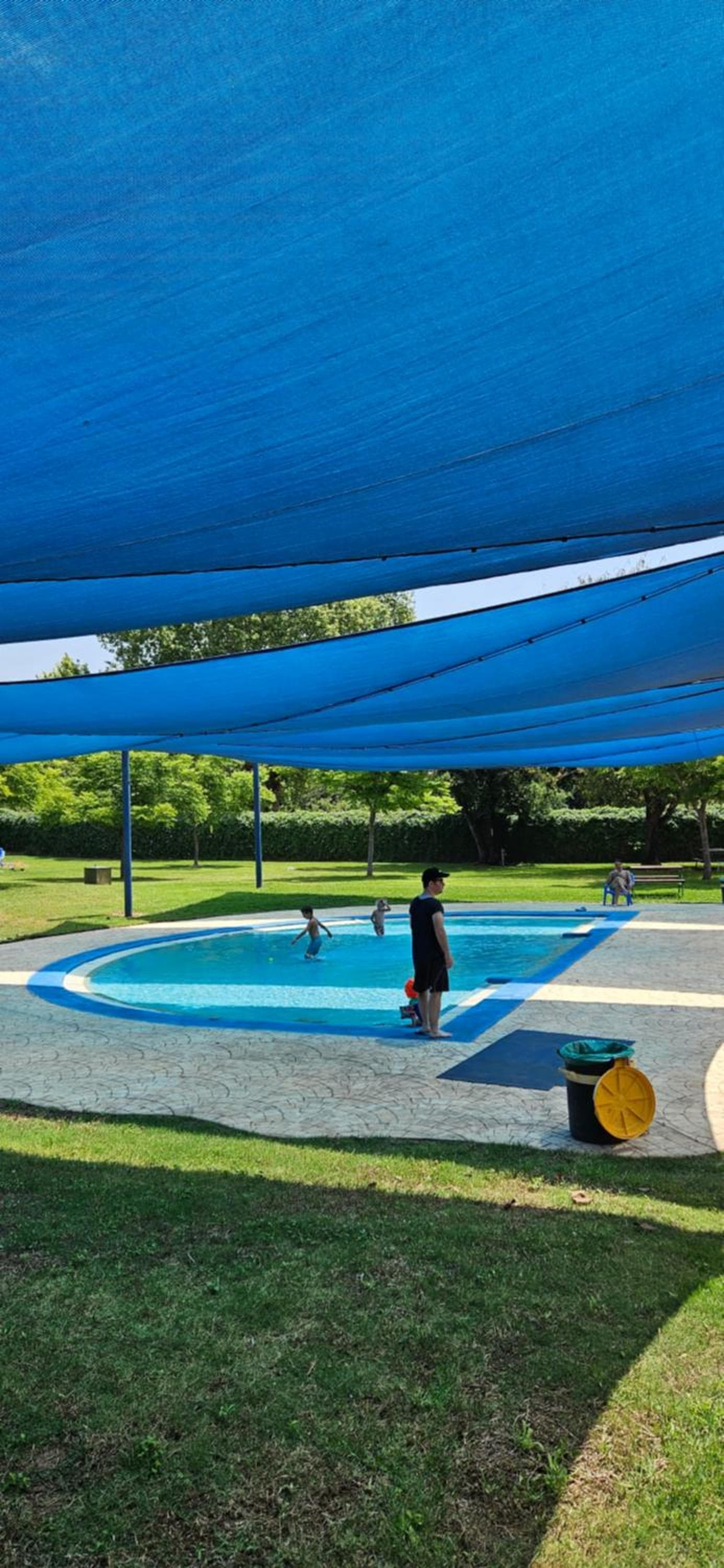 ירוק בטבע photo 2