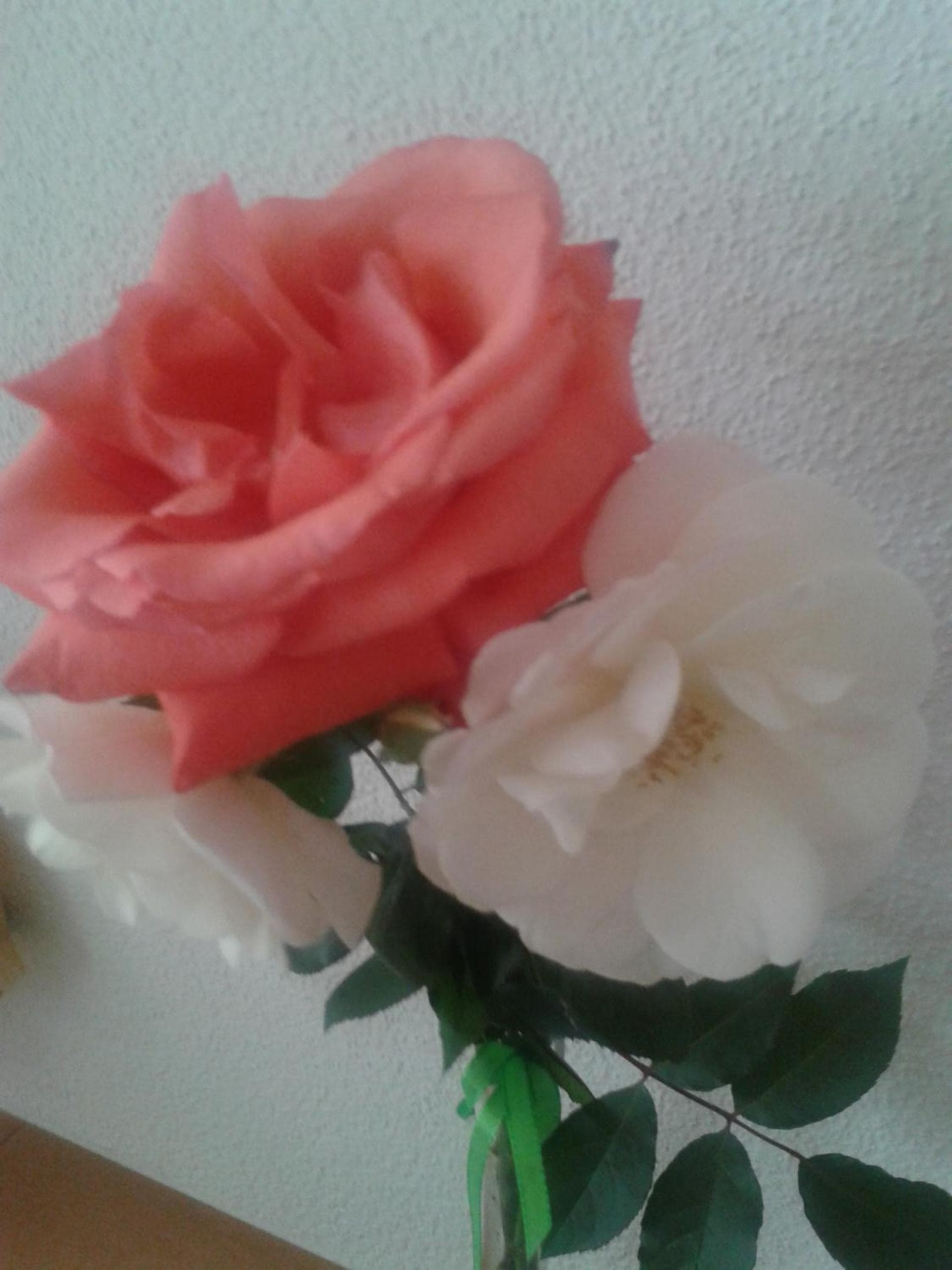Apart Sunshine photo 6