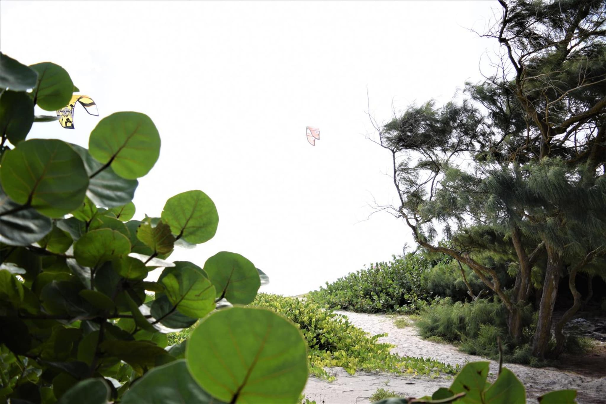 Coconut Walk Beach Apartment photo 8