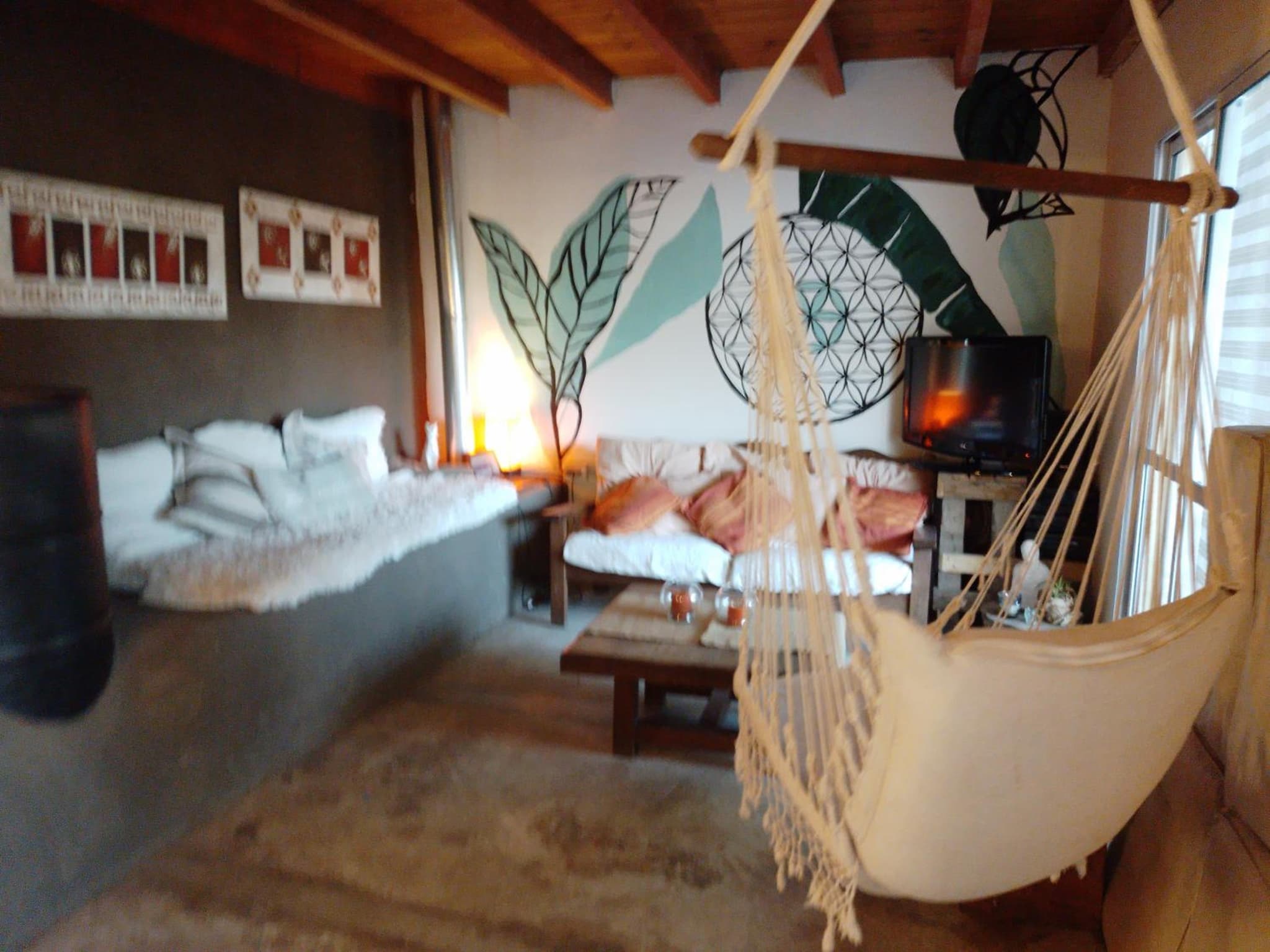 La Casita de Carla photo 3