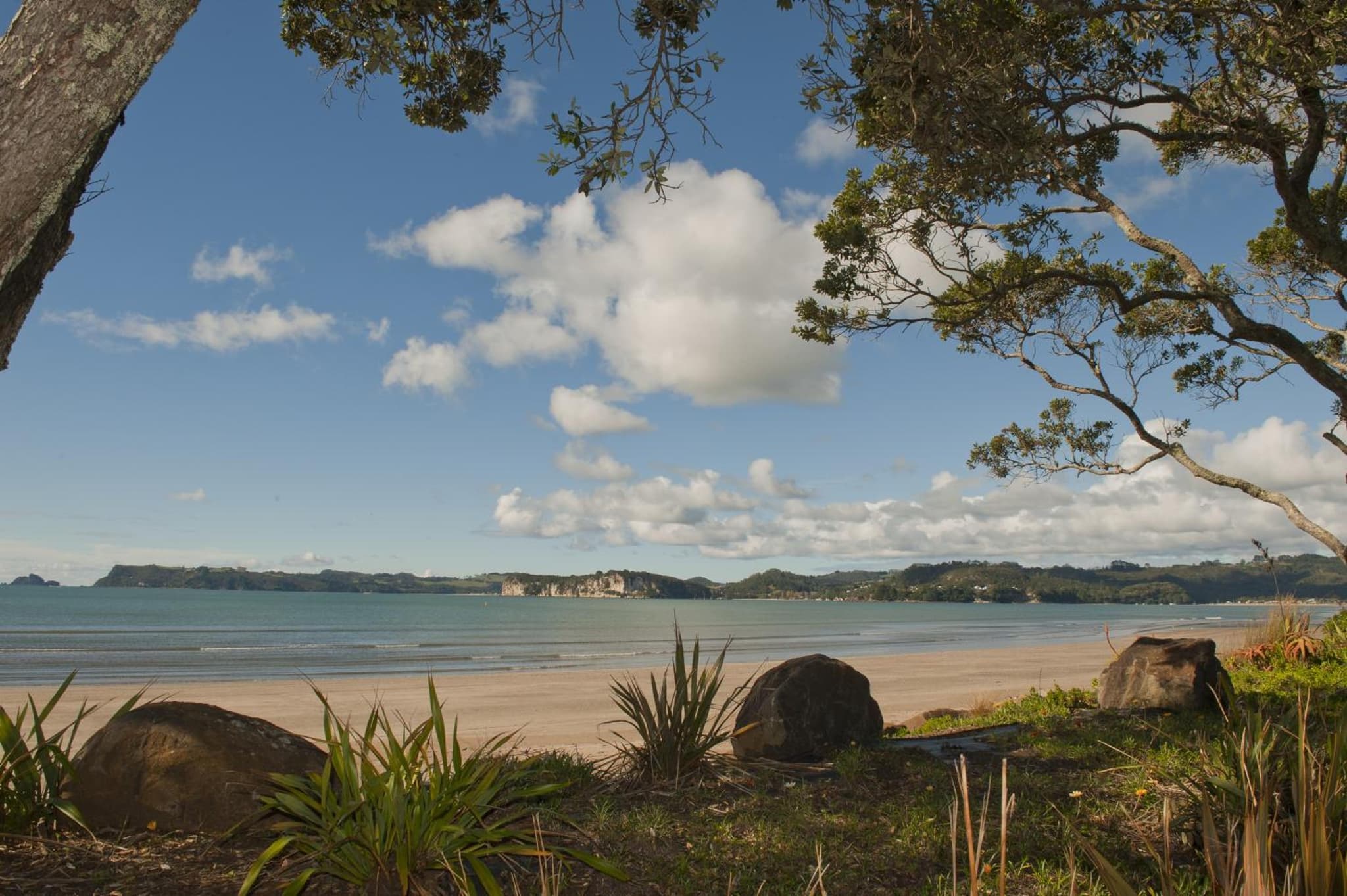 Beachfront Resort photo 4