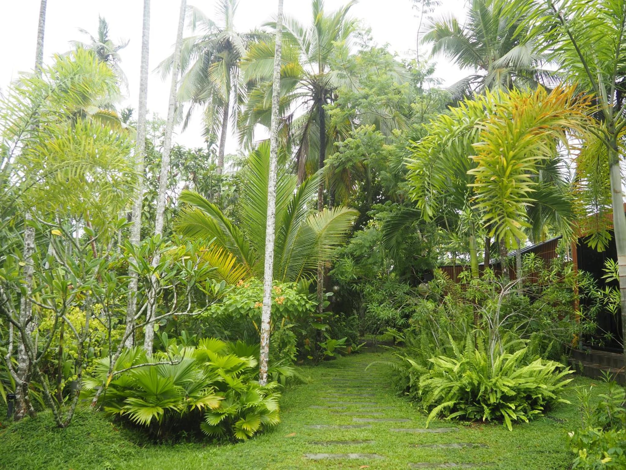 Licuala Luxury Jungle Bungalows photo 9