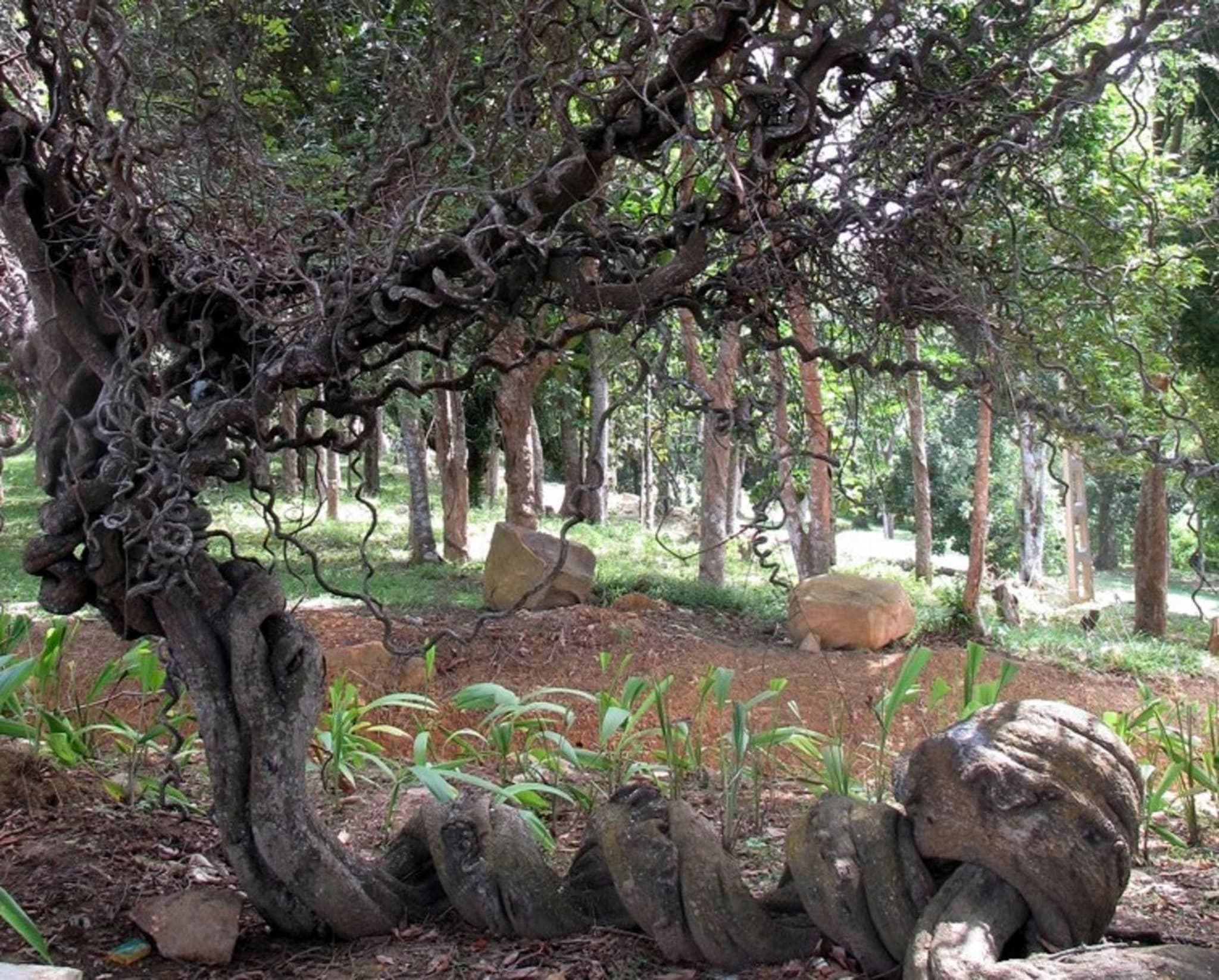 Sea Heart House on Koggala Lake photo 2