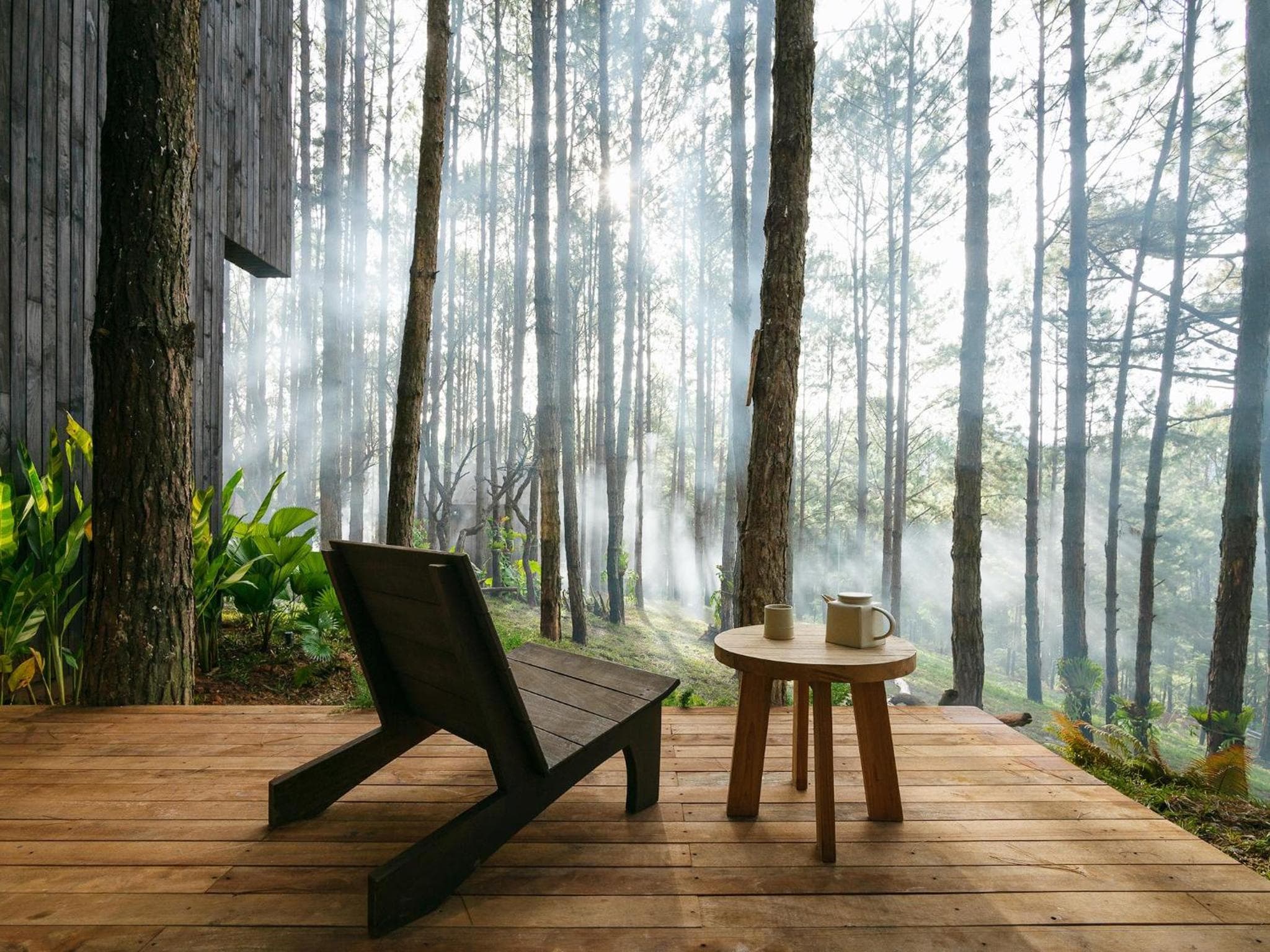 Mơ Stay - Forest Resort photo 4