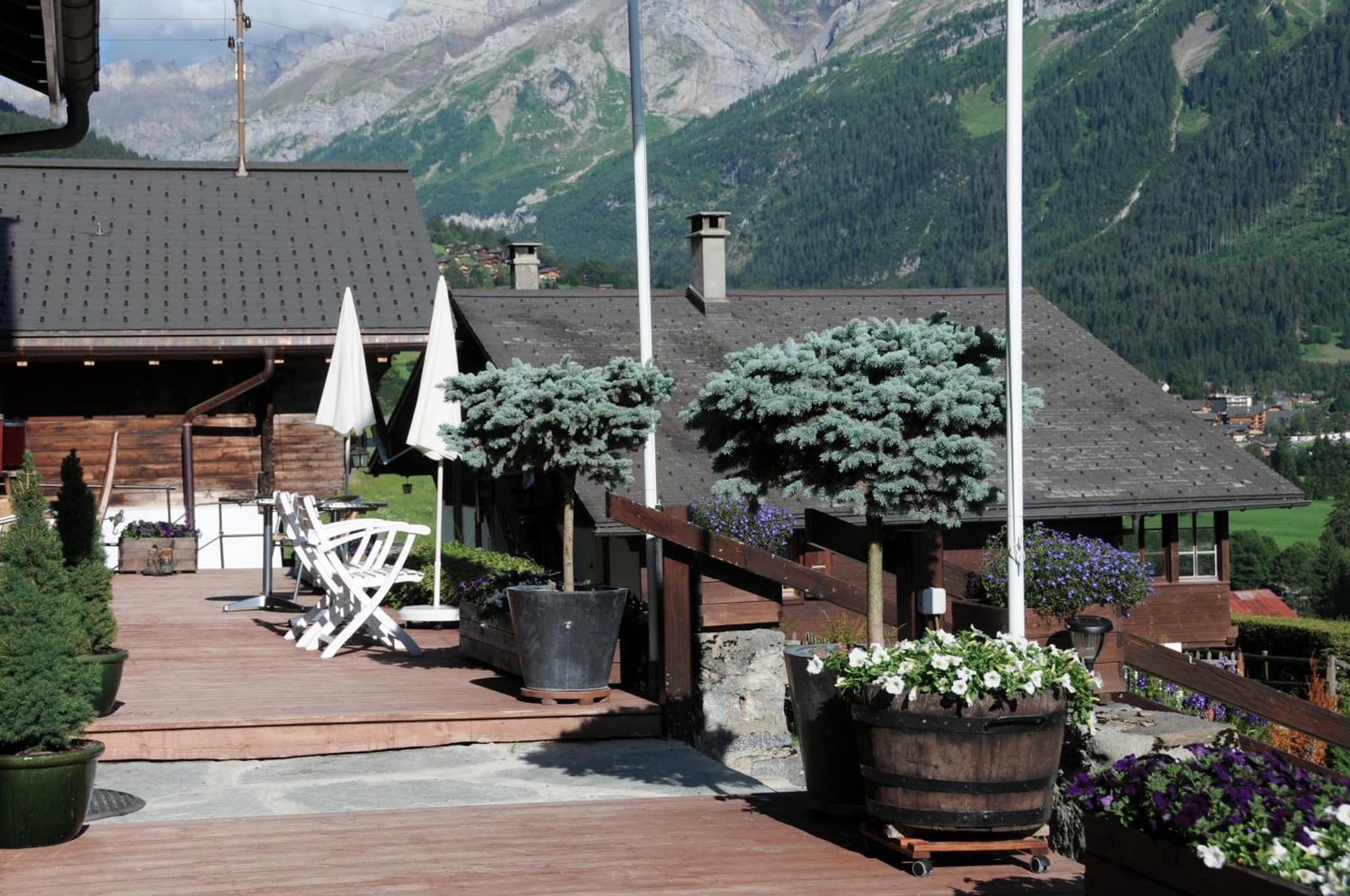 Historic Hotel du Pillon photo 9