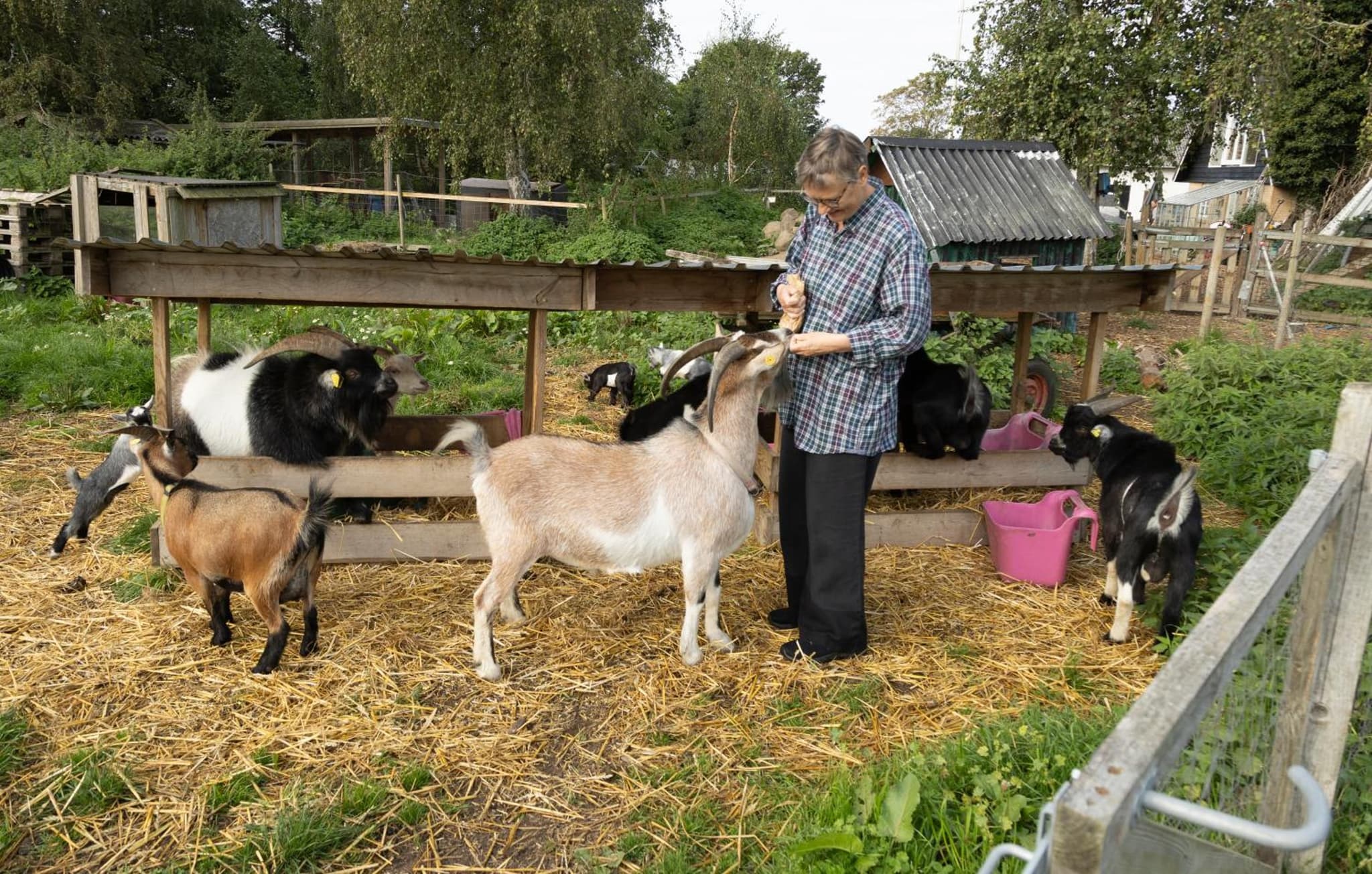 Skortskær Bondegårdsferie photo 9