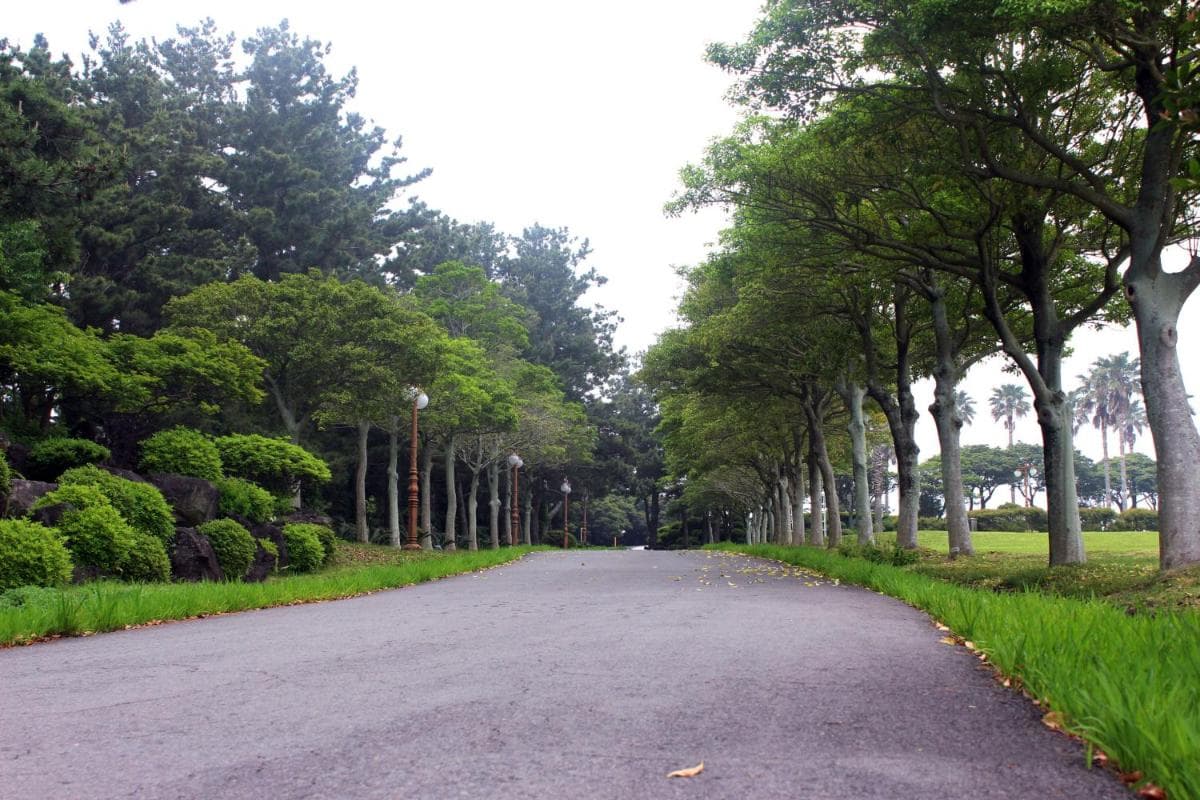 Seogwipo KAL Hotel photo 8