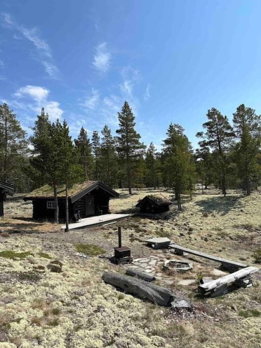 Atndalsvegen 1295 - panoramautsikt til Rondane photo 9