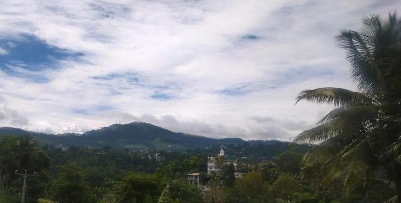The Jesmine Homestay photo 6
