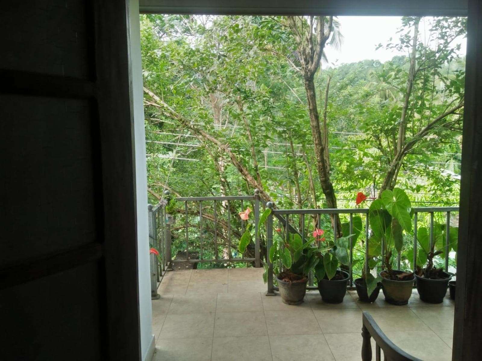 The Jesmine Homestay photo 2