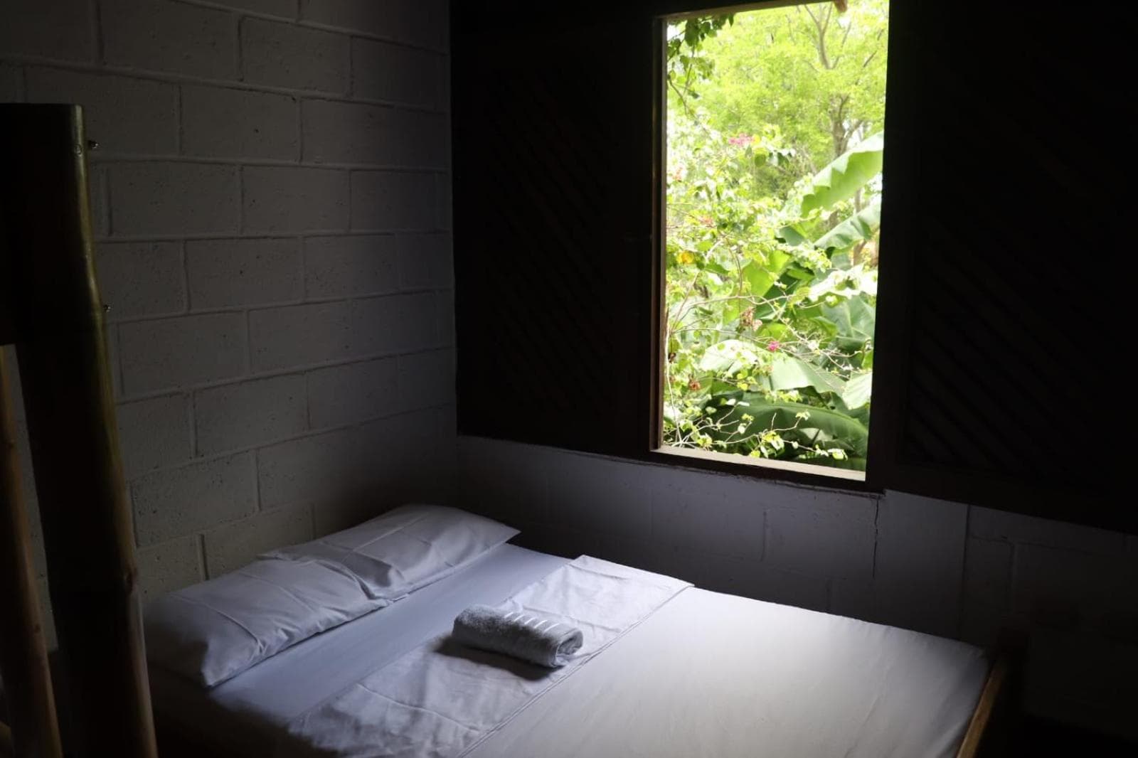 AFRO HOSTEL photo 6