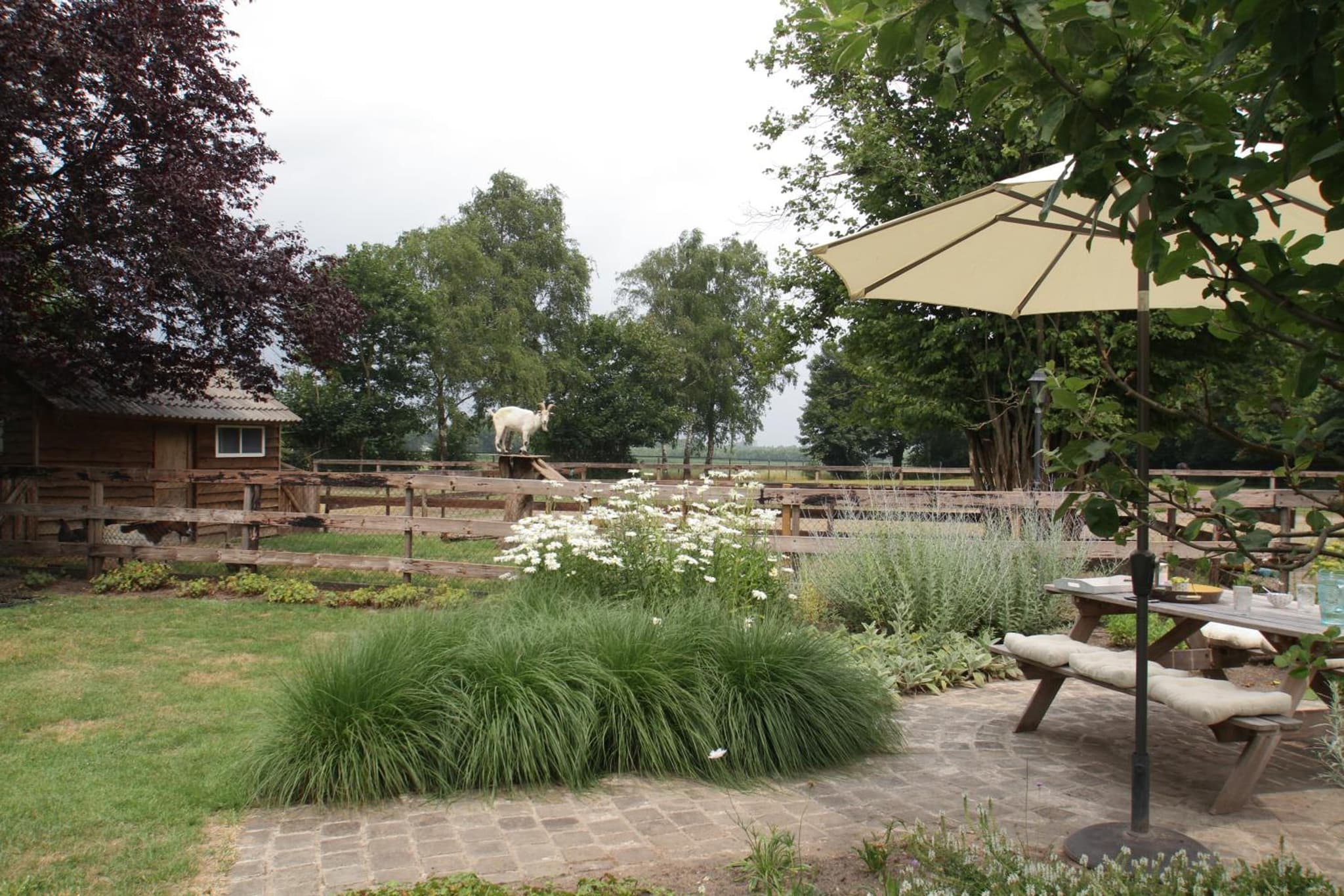Het Rooversnest photo 3