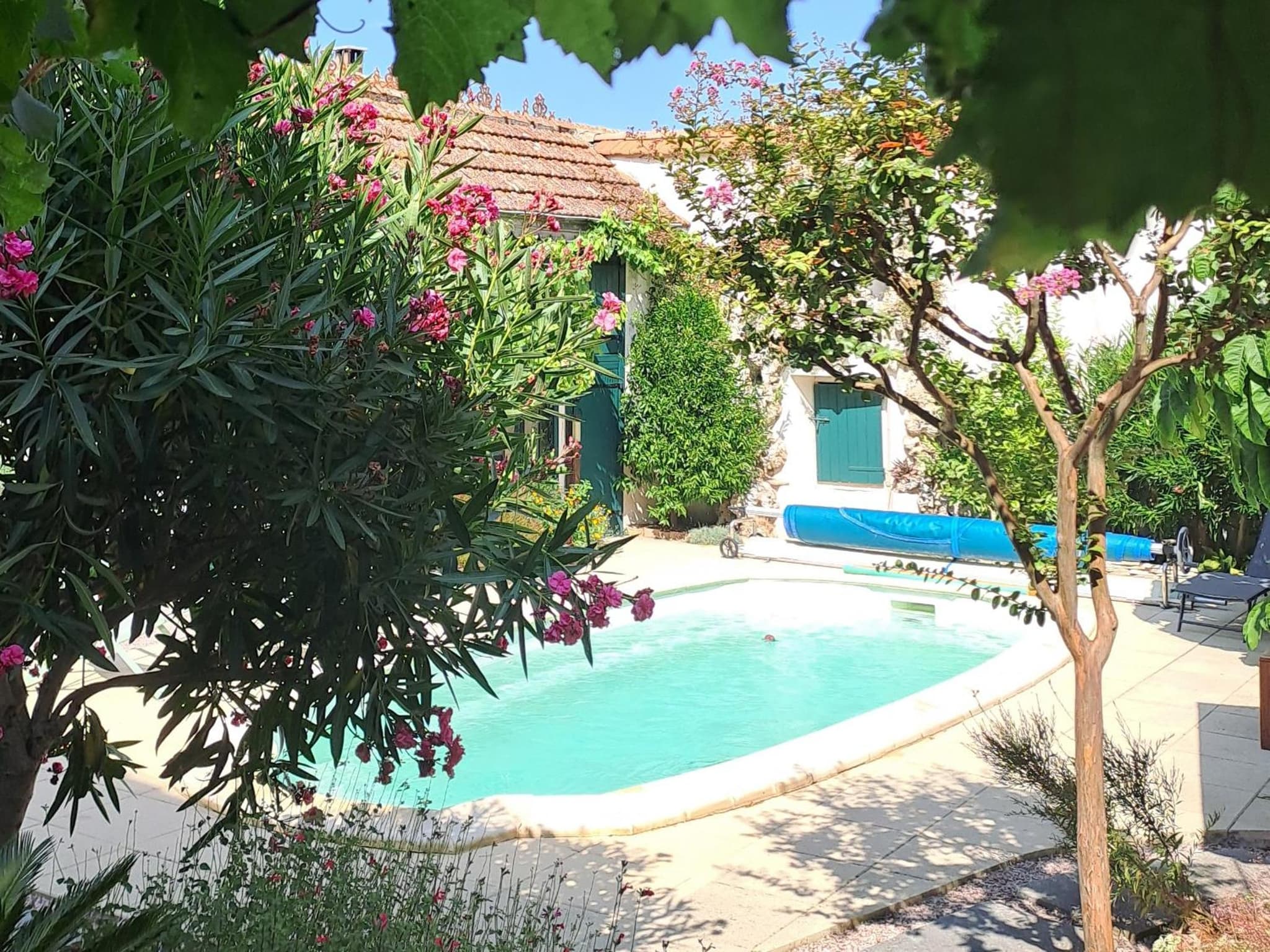 Villa Saint Léon photo 6