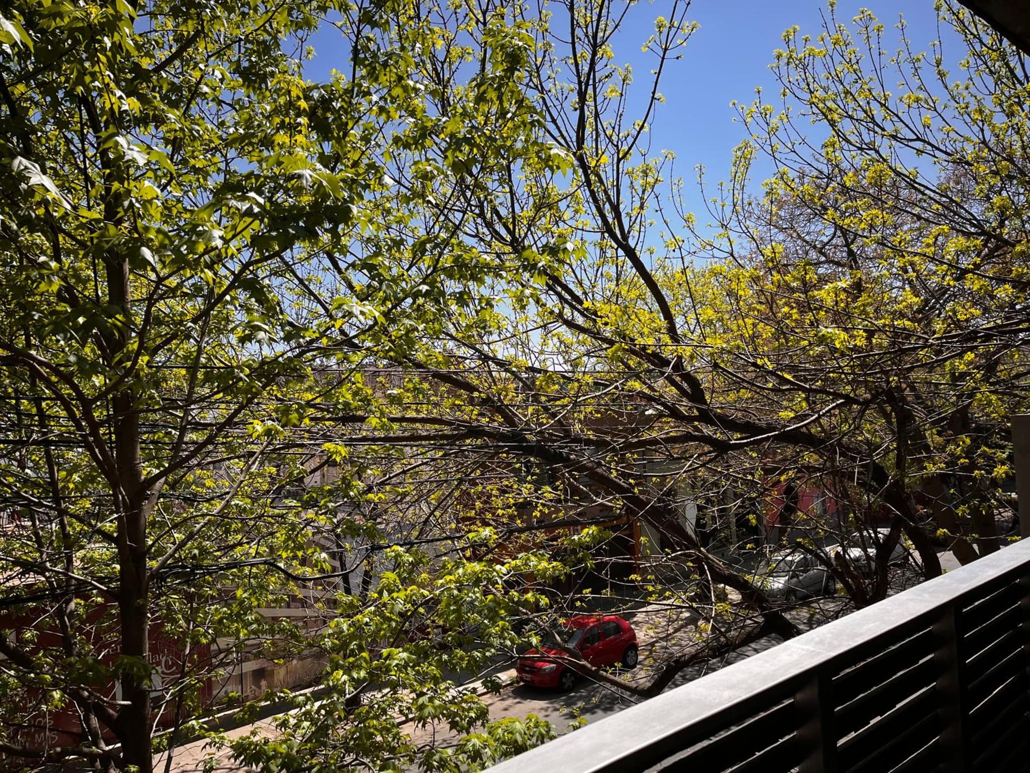 Primavera Suites photo 9