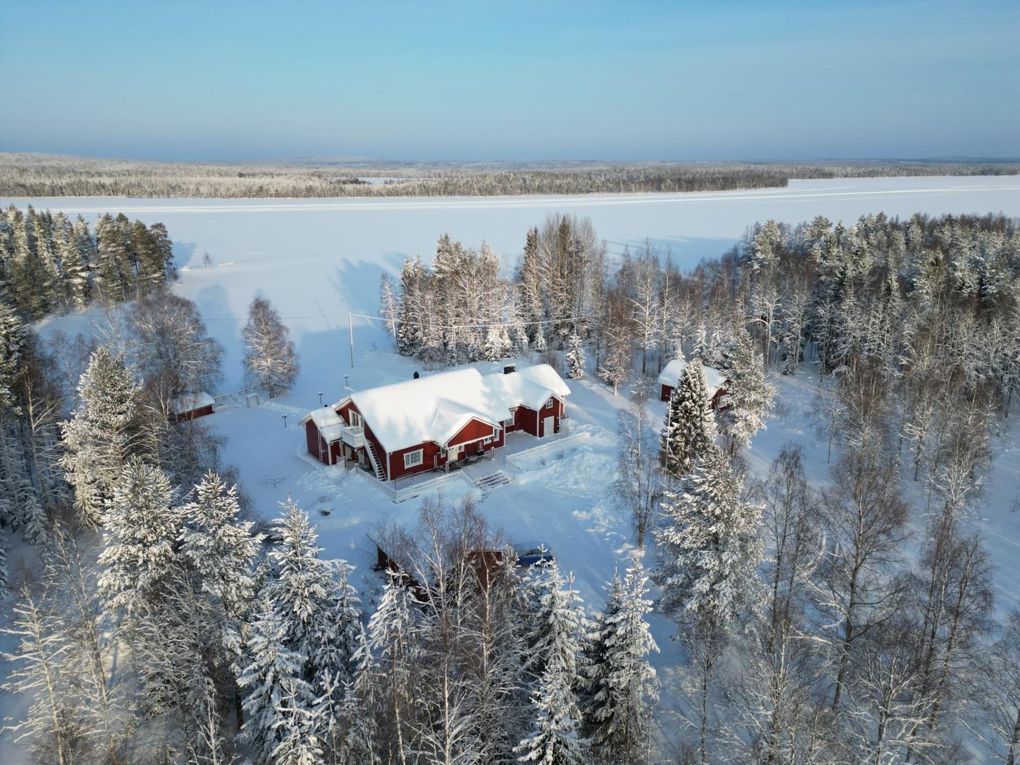 Arcticmint photo 9