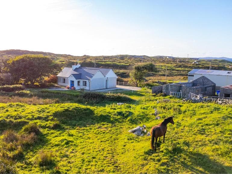 Flaherty Cottage eco photo 2