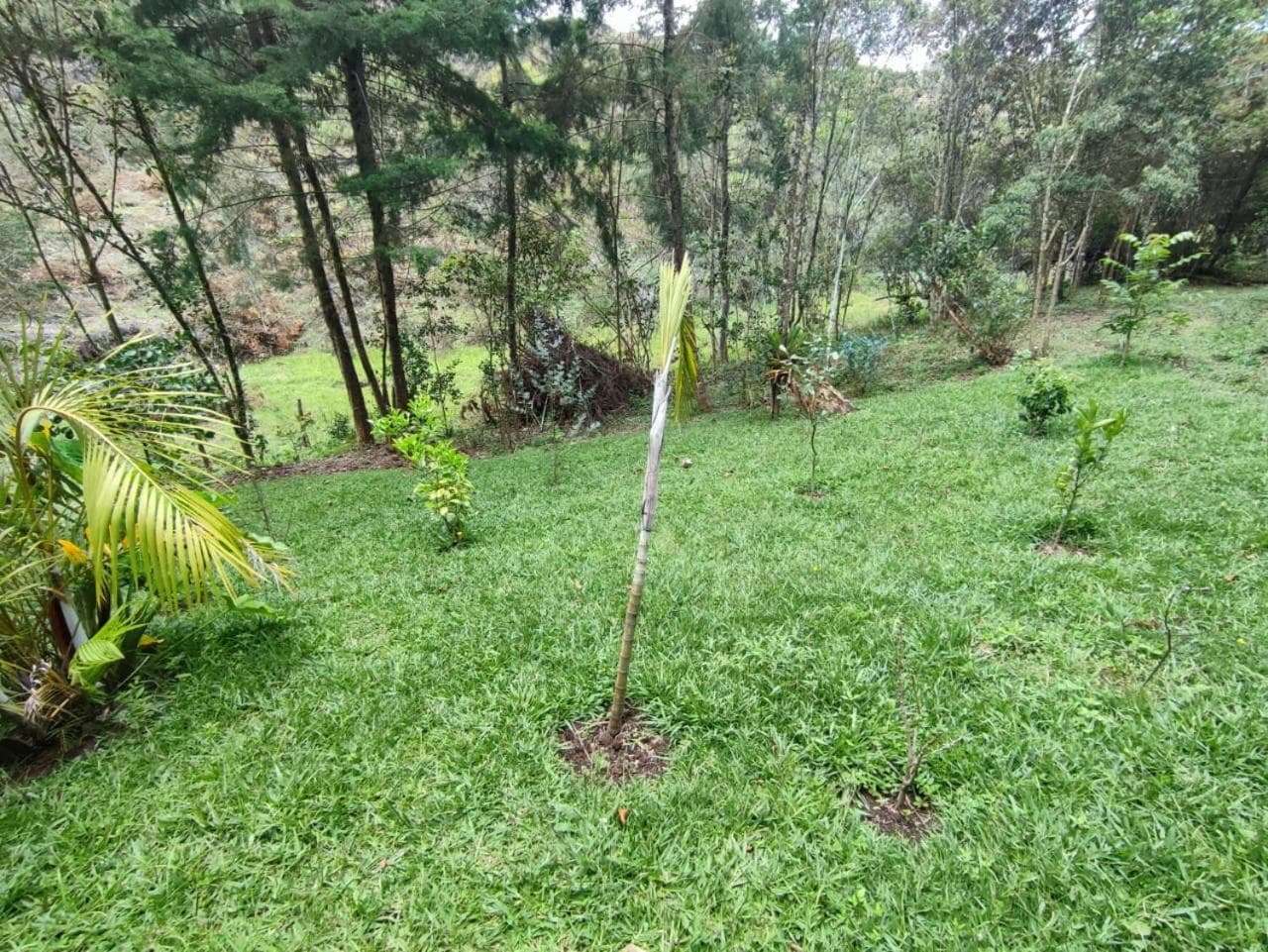 cabaña paniym photo 3