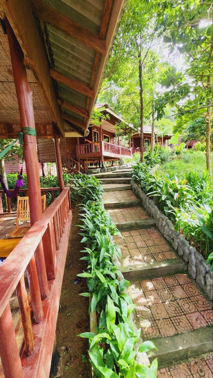 Sweet Jungle Bungalows photo 6