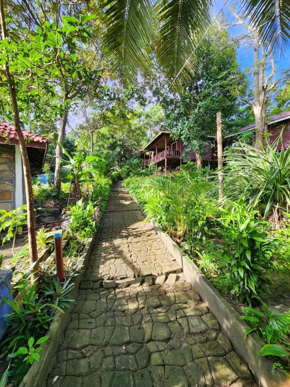 Sweet Jungle Bungalows photo 8