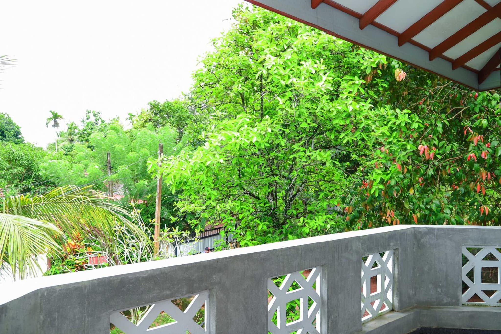 Dil's Place photo 2
