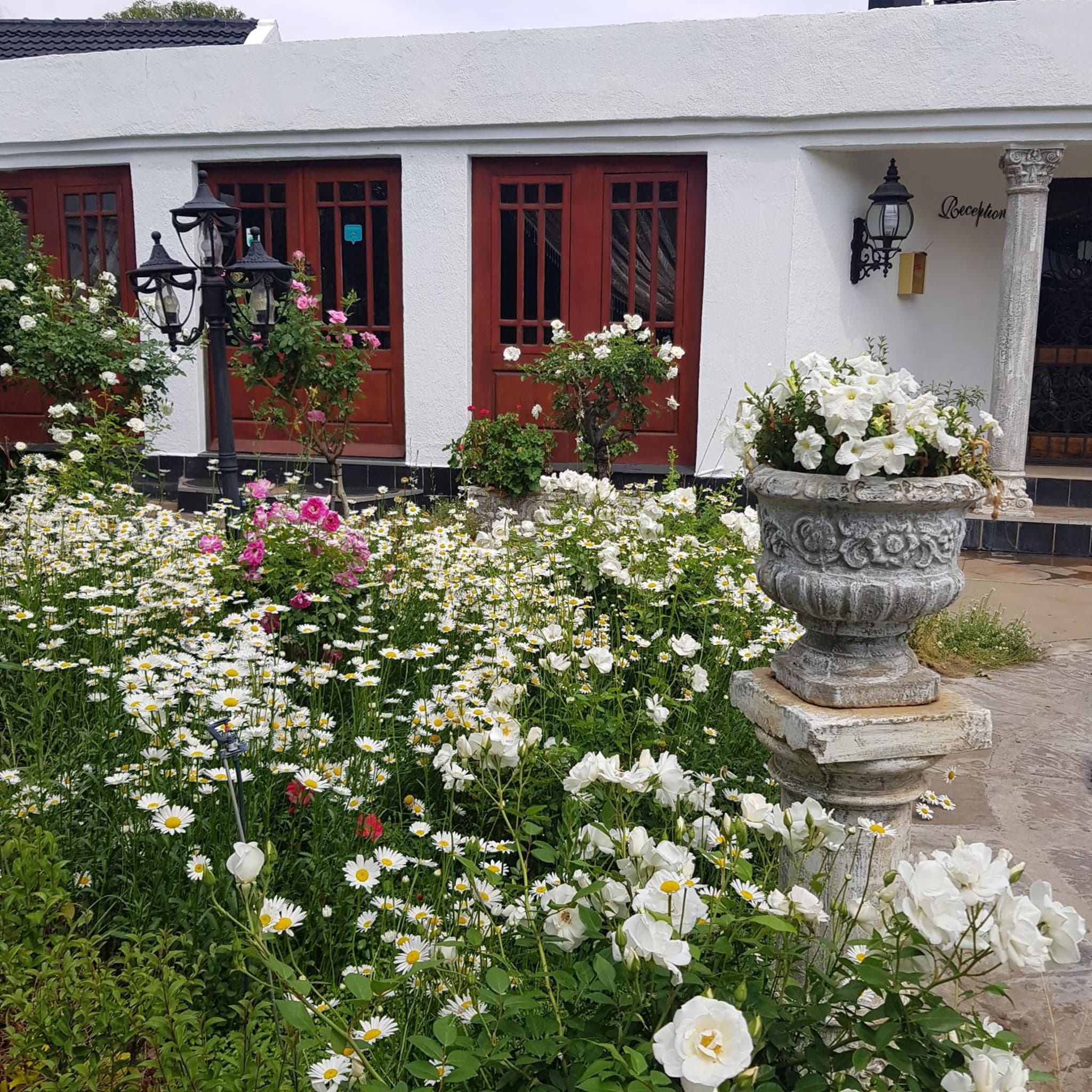 Lamon Guesthouse photo 7