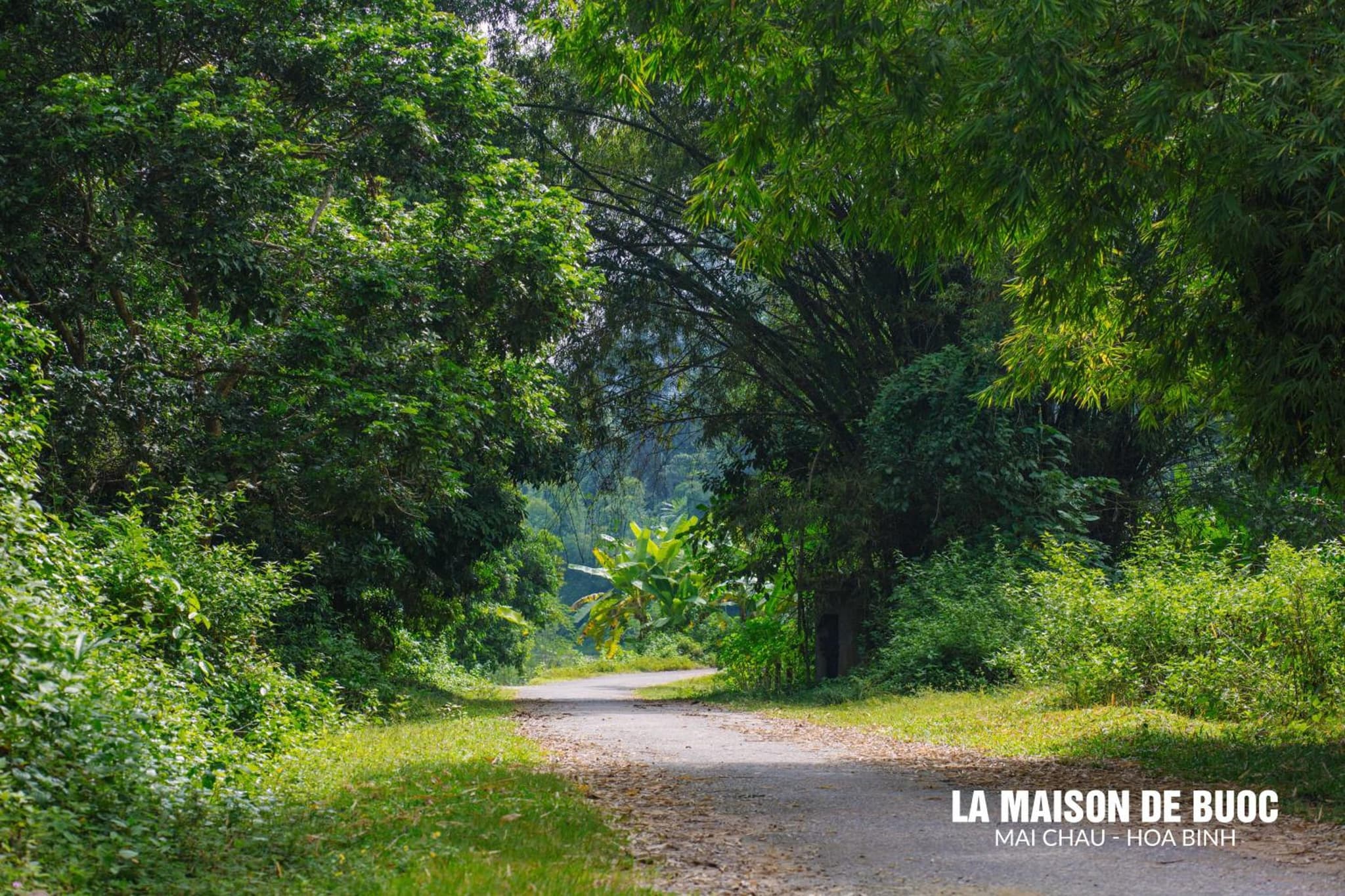 La Maison De Buoc photo 2