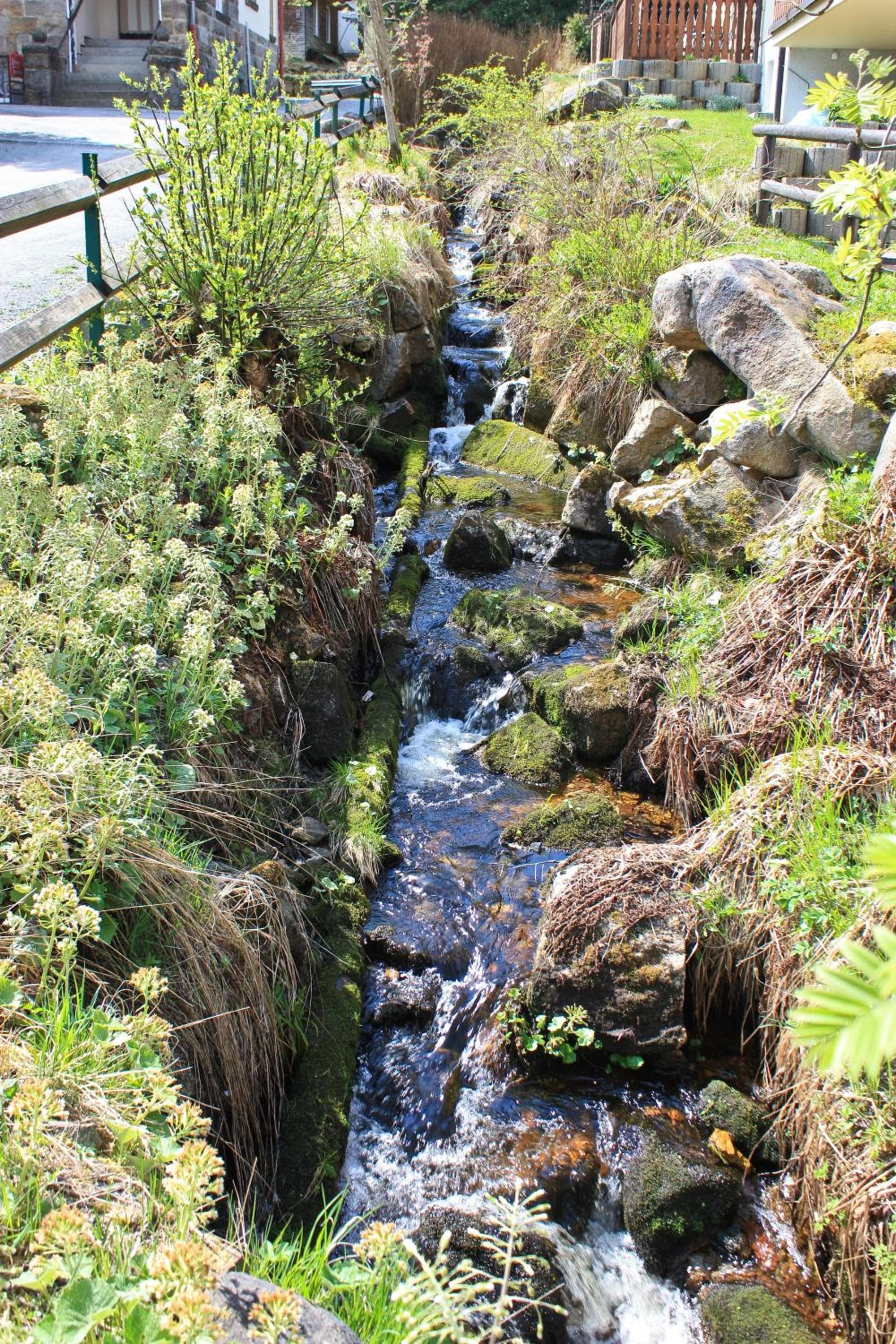 Ferienanlage Zum Wildbach Schierke photo 6