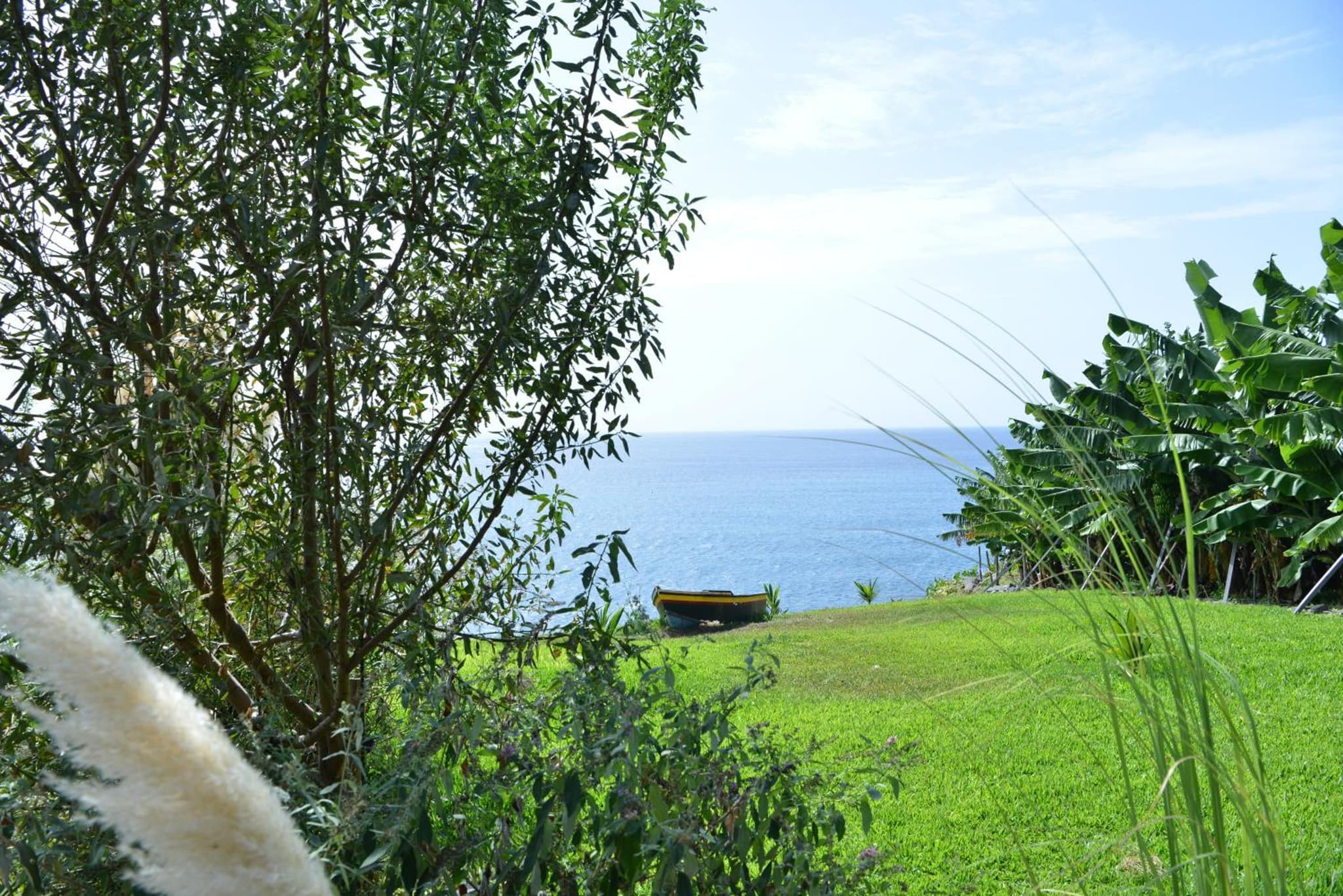 Quinta Golfinho photo 7