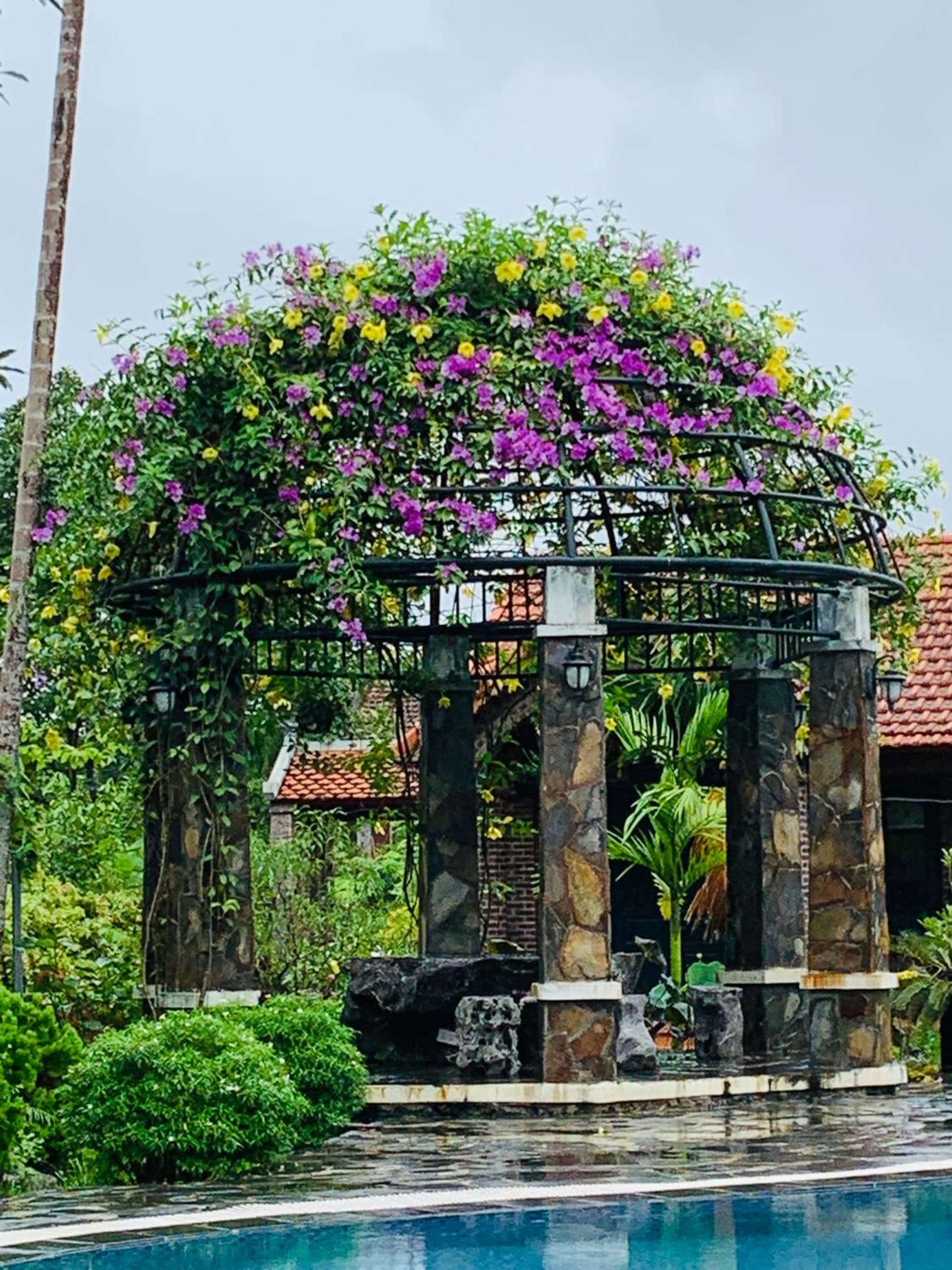 Đinh Gia Home Villa & Resort photo 8