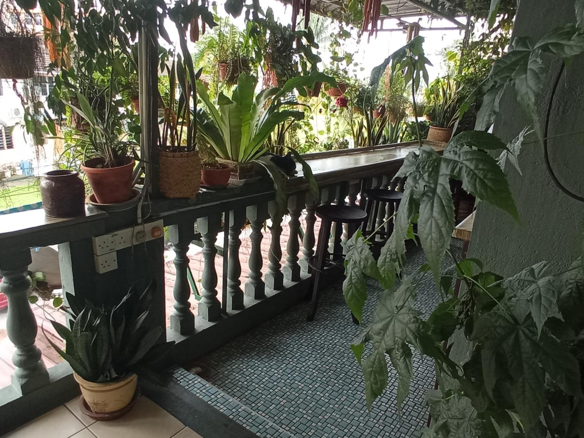 Marco Polo Guest House photo 2