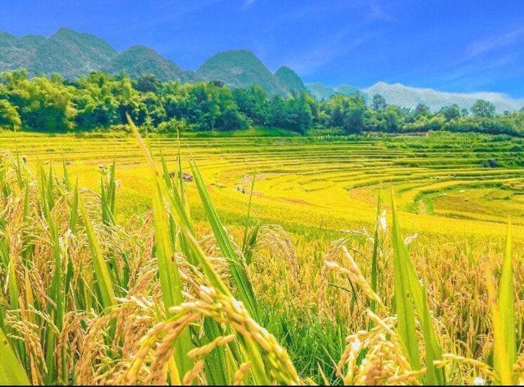 Pu Luong Ecostay photo 2
