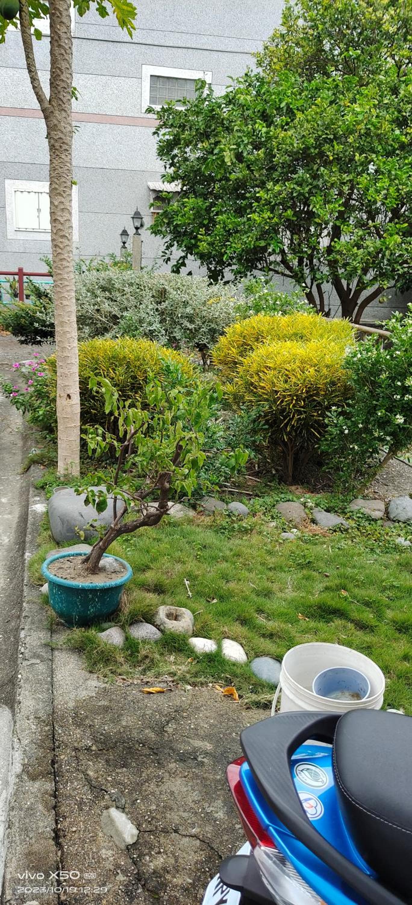 Chentien Changkuang Homestay photo 6