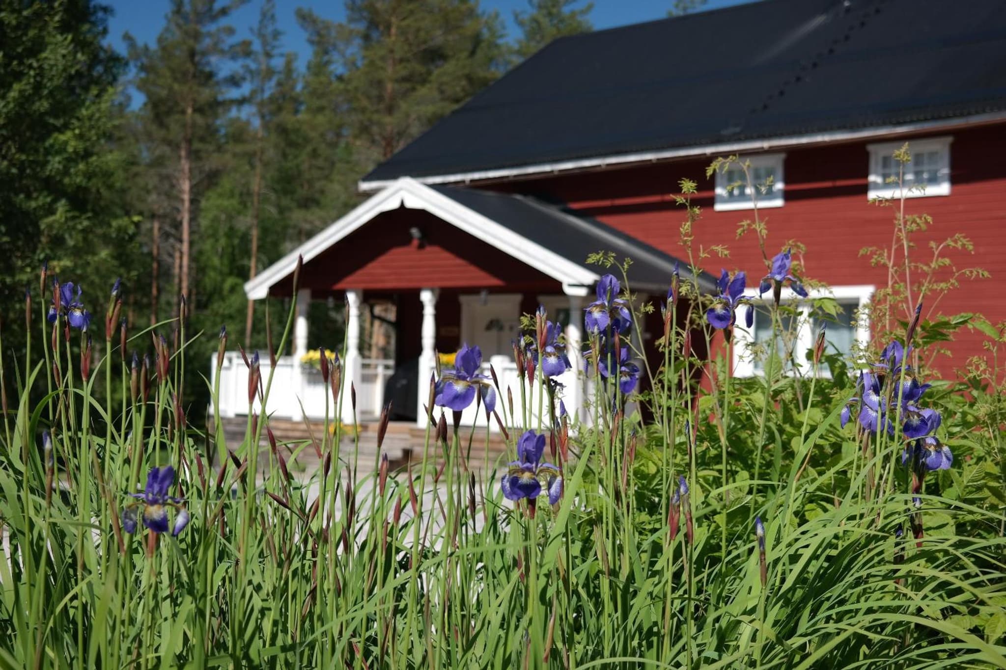 Näsets Marcusgård photo 9