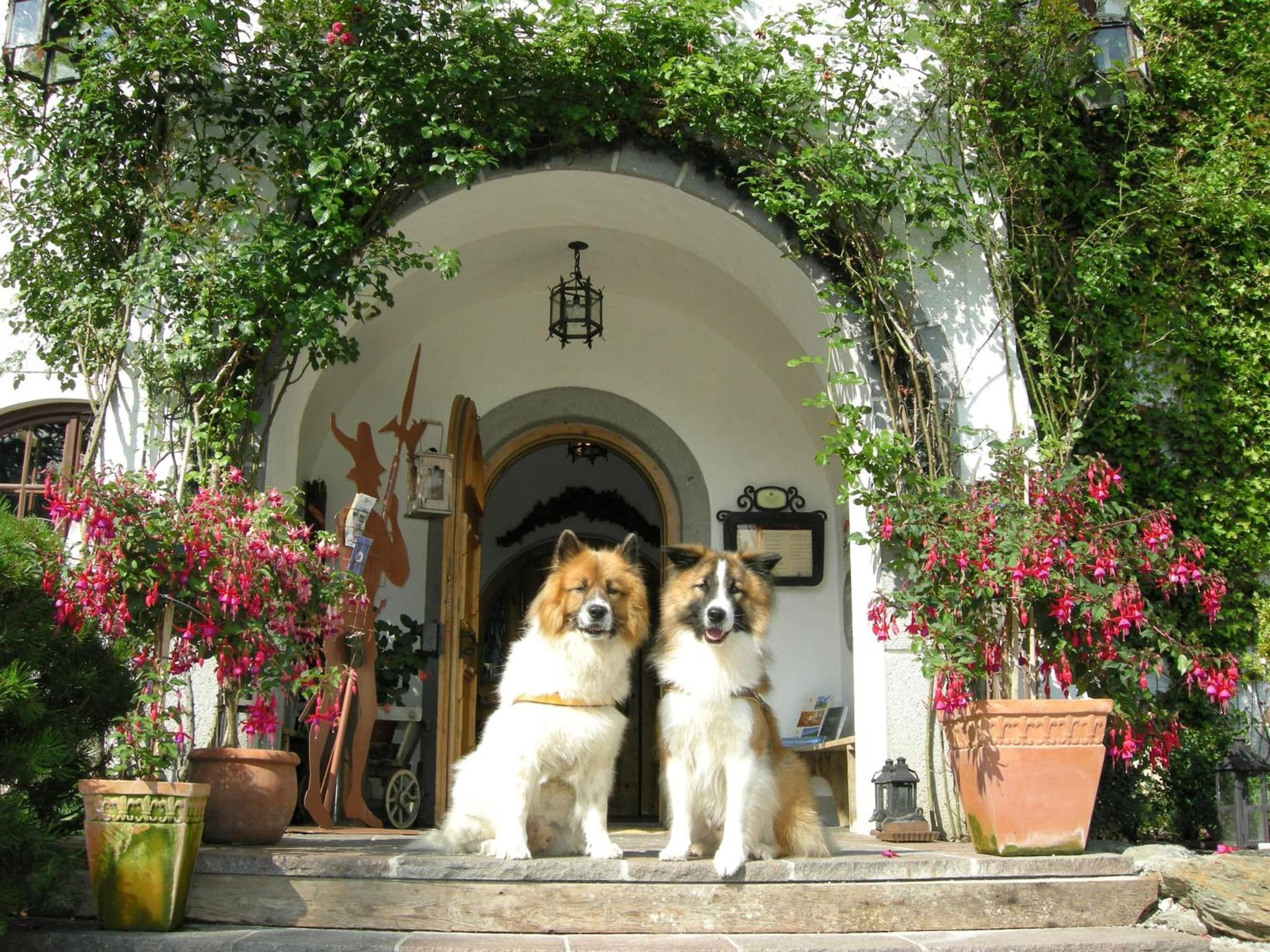 Aparthotel Schloss Thannegg photo 2
