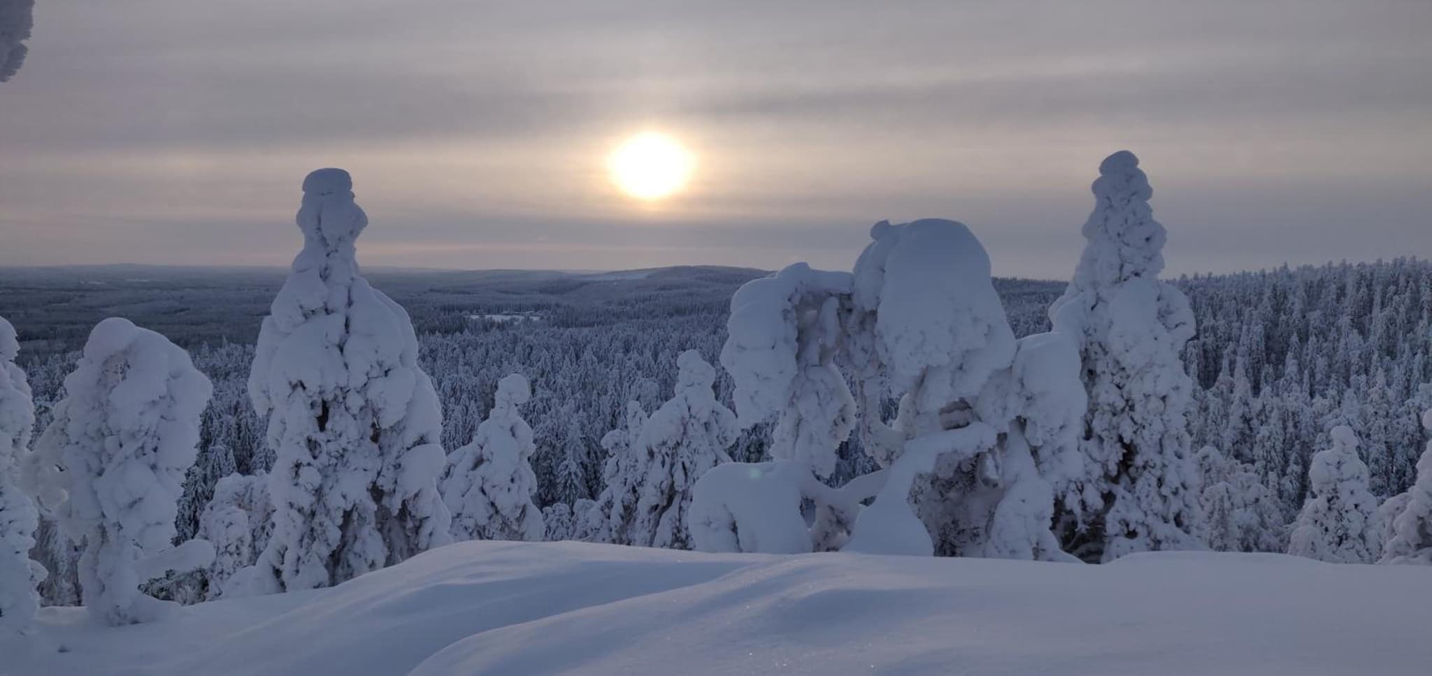 Vuokatti Booking Suites photo 3