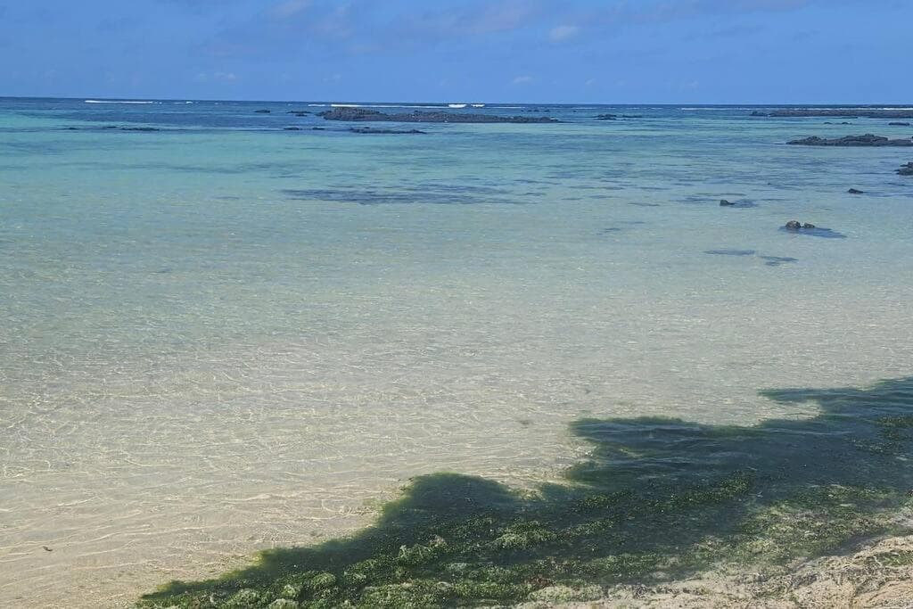Beachside Living photo 6