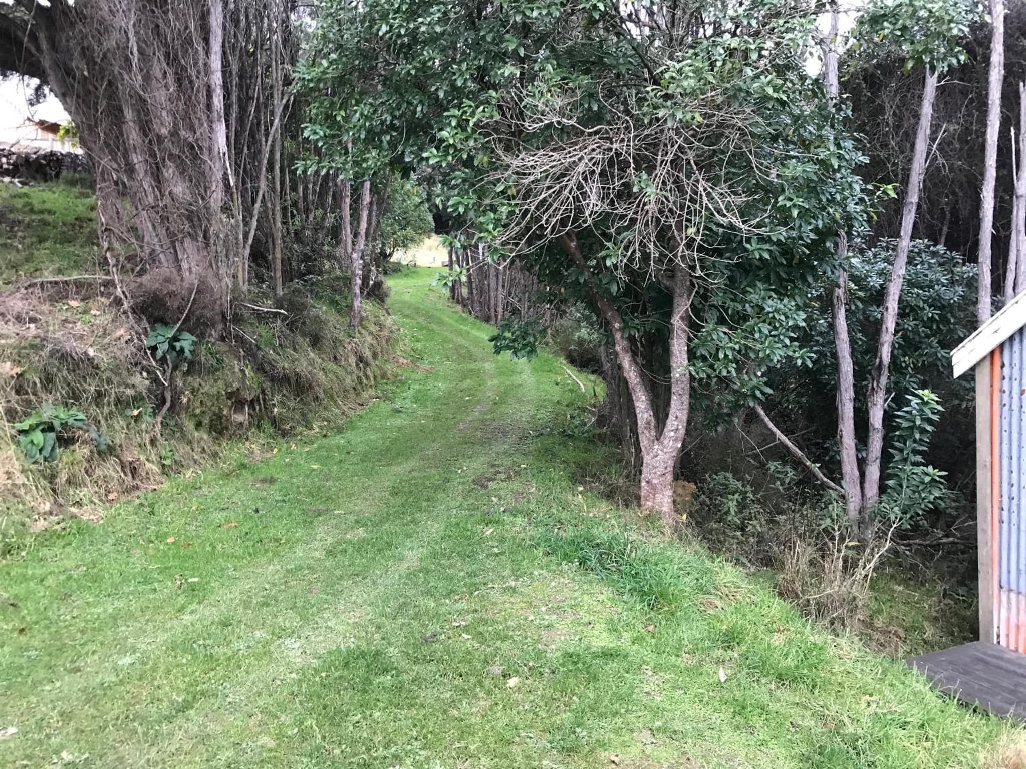 Kanuka Retreat photo 3