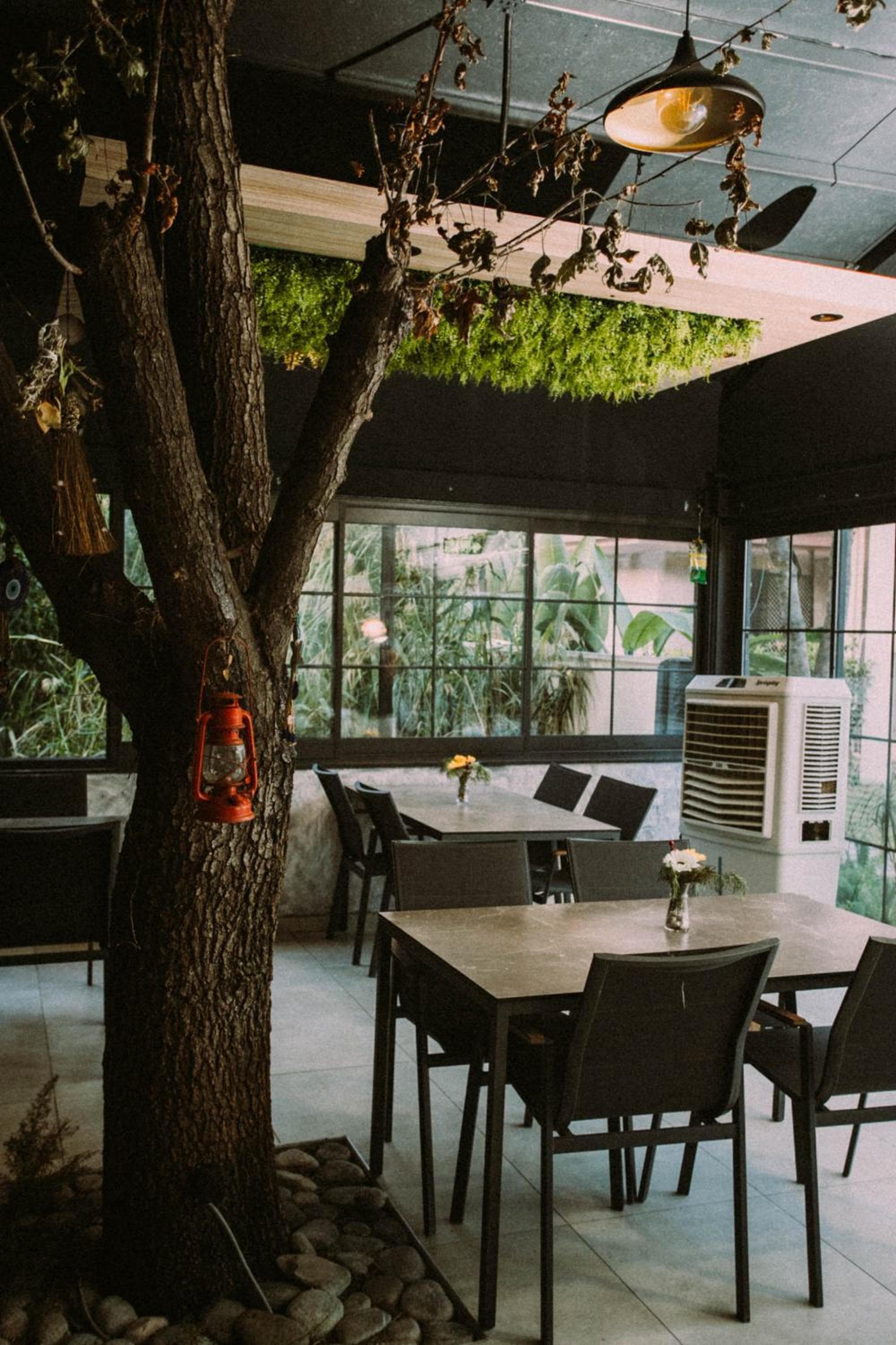 Vira Suites Hotel photo 6